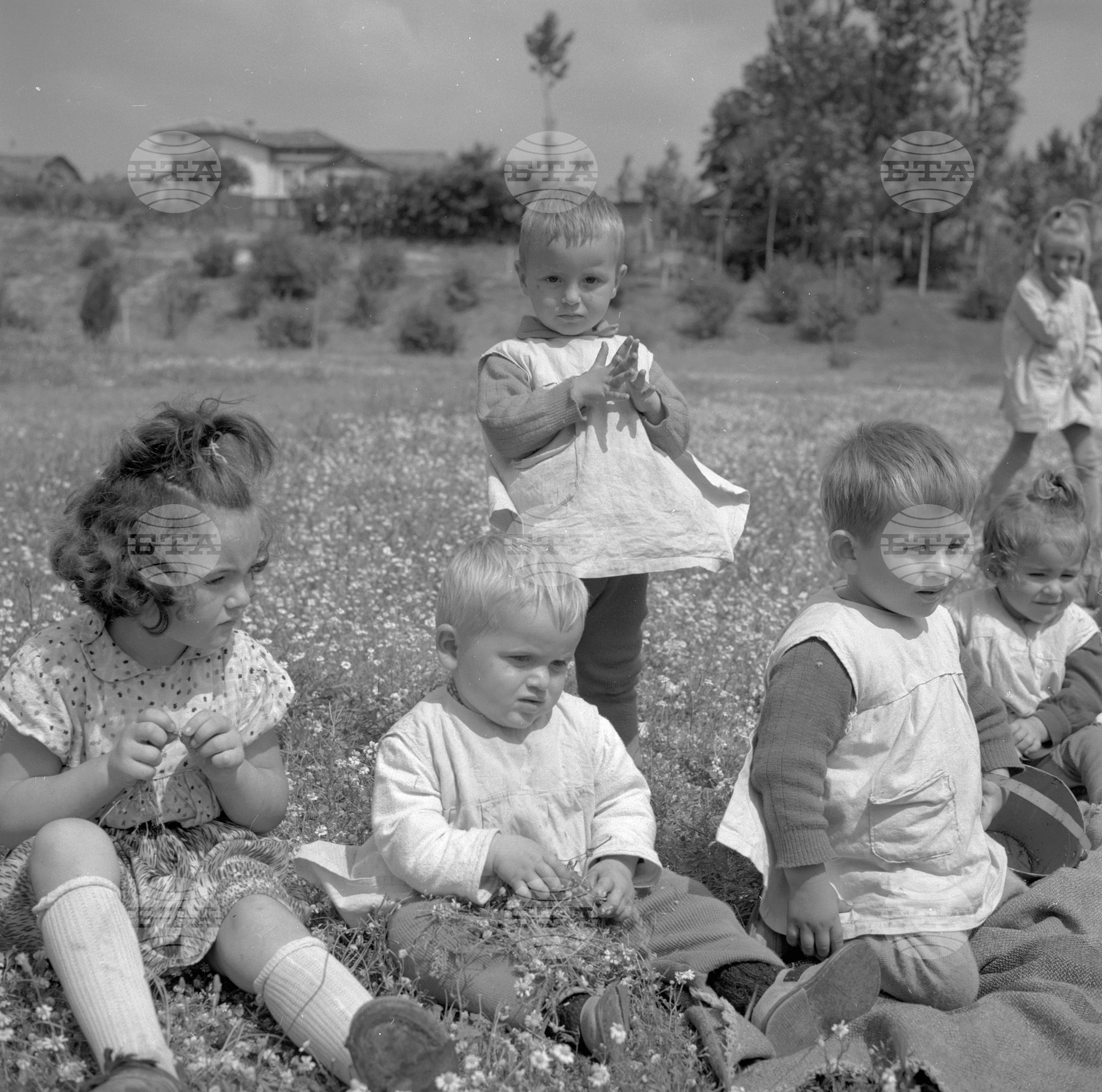 Из Пазарджишки окръг - 1963