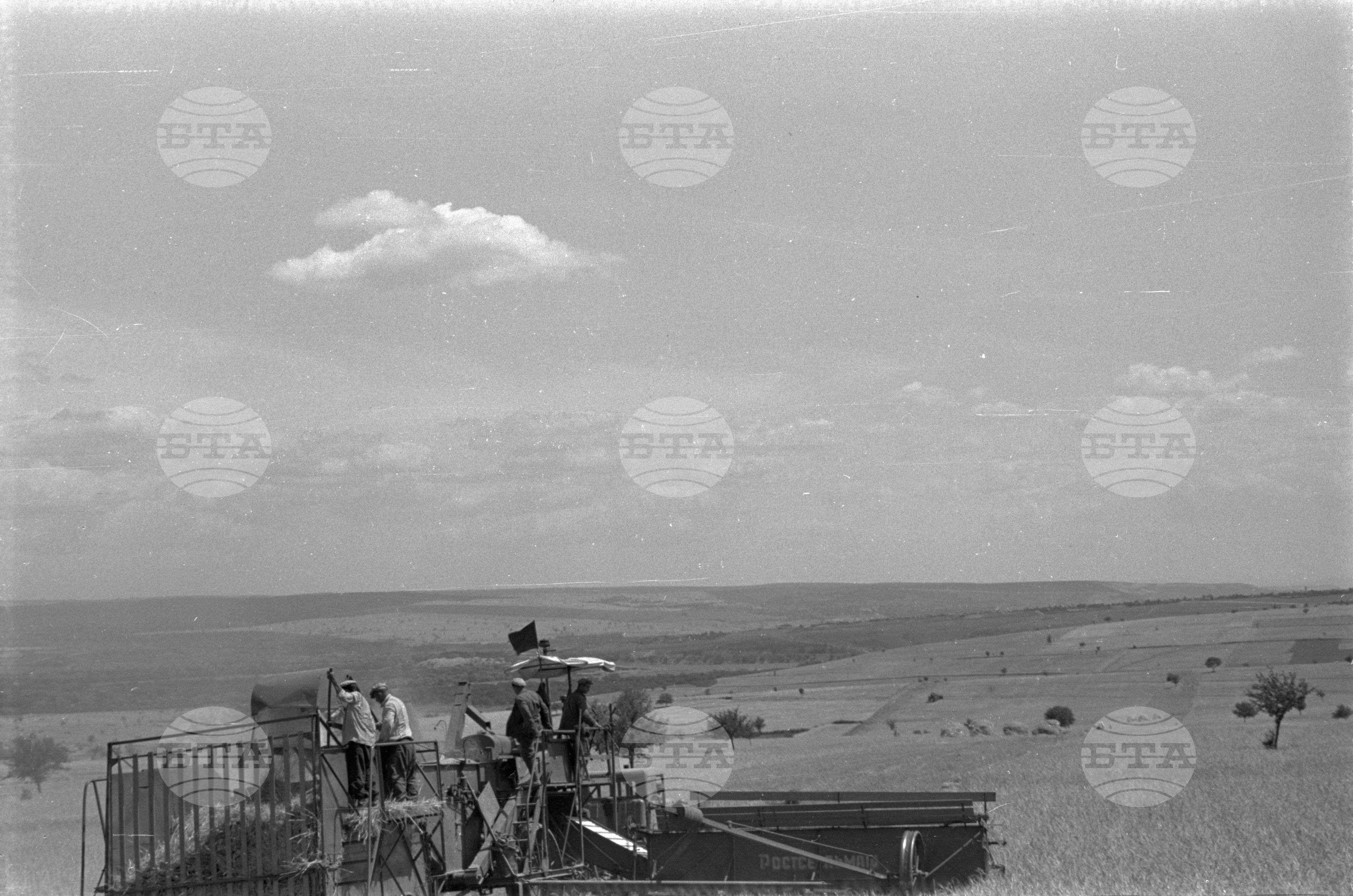 В земеделските блокове на село Полско косово - Бяла