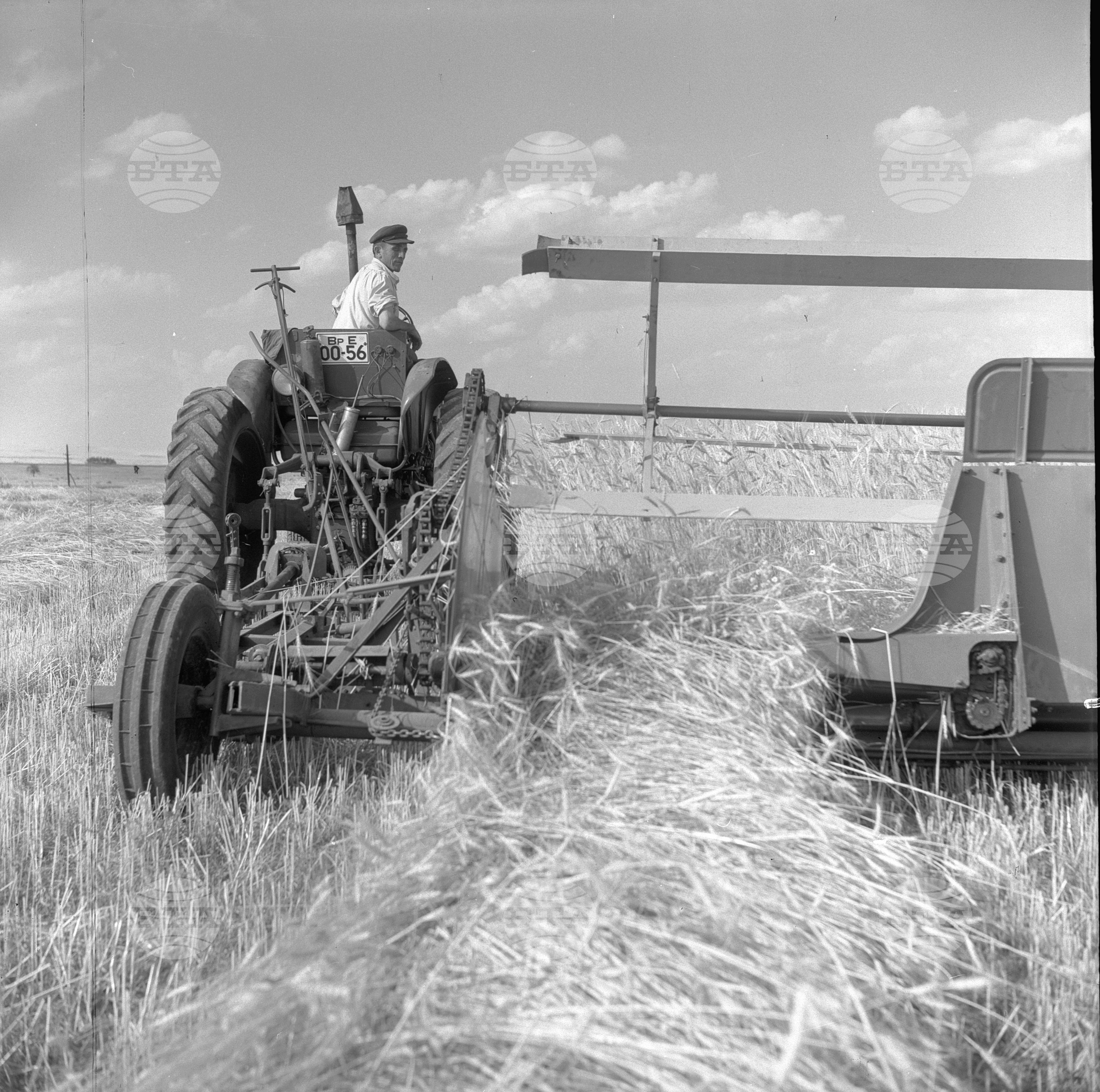Жътвени дни във Врачански окръг - 1963