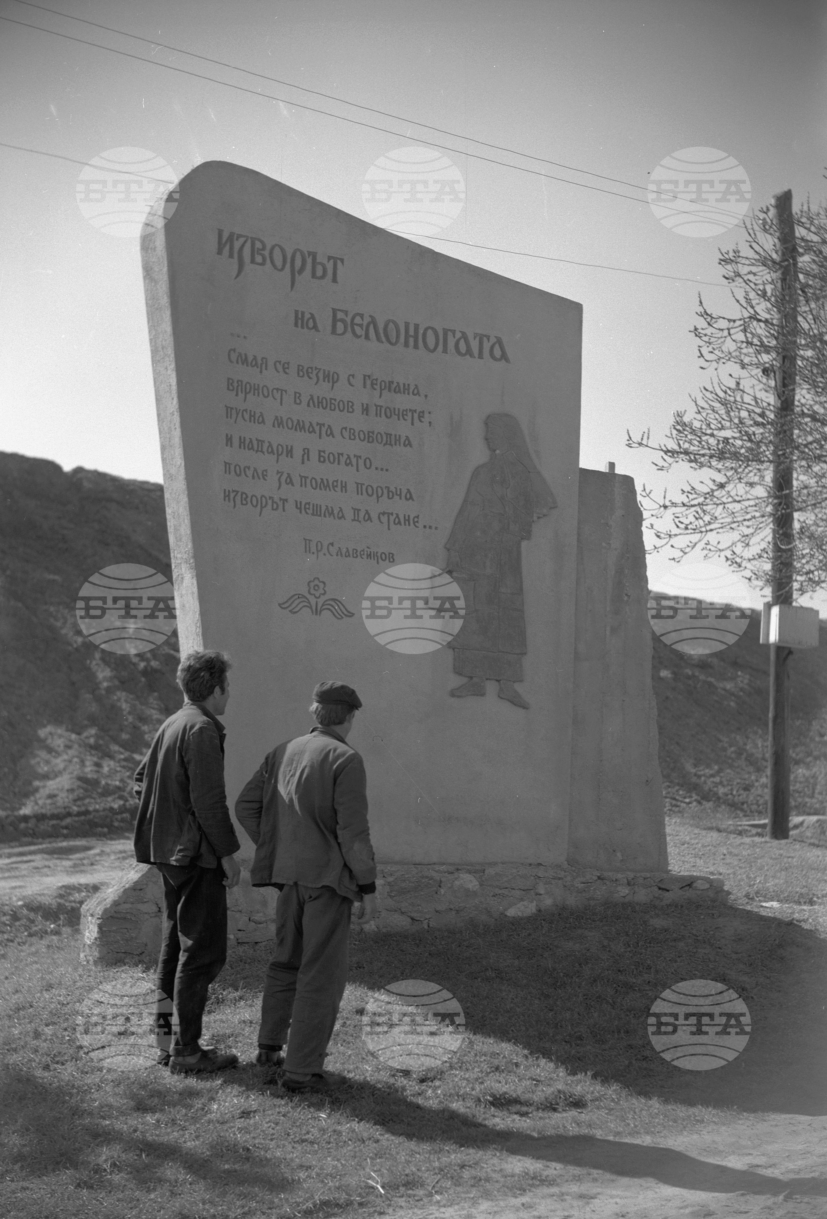 Извора на белоногата