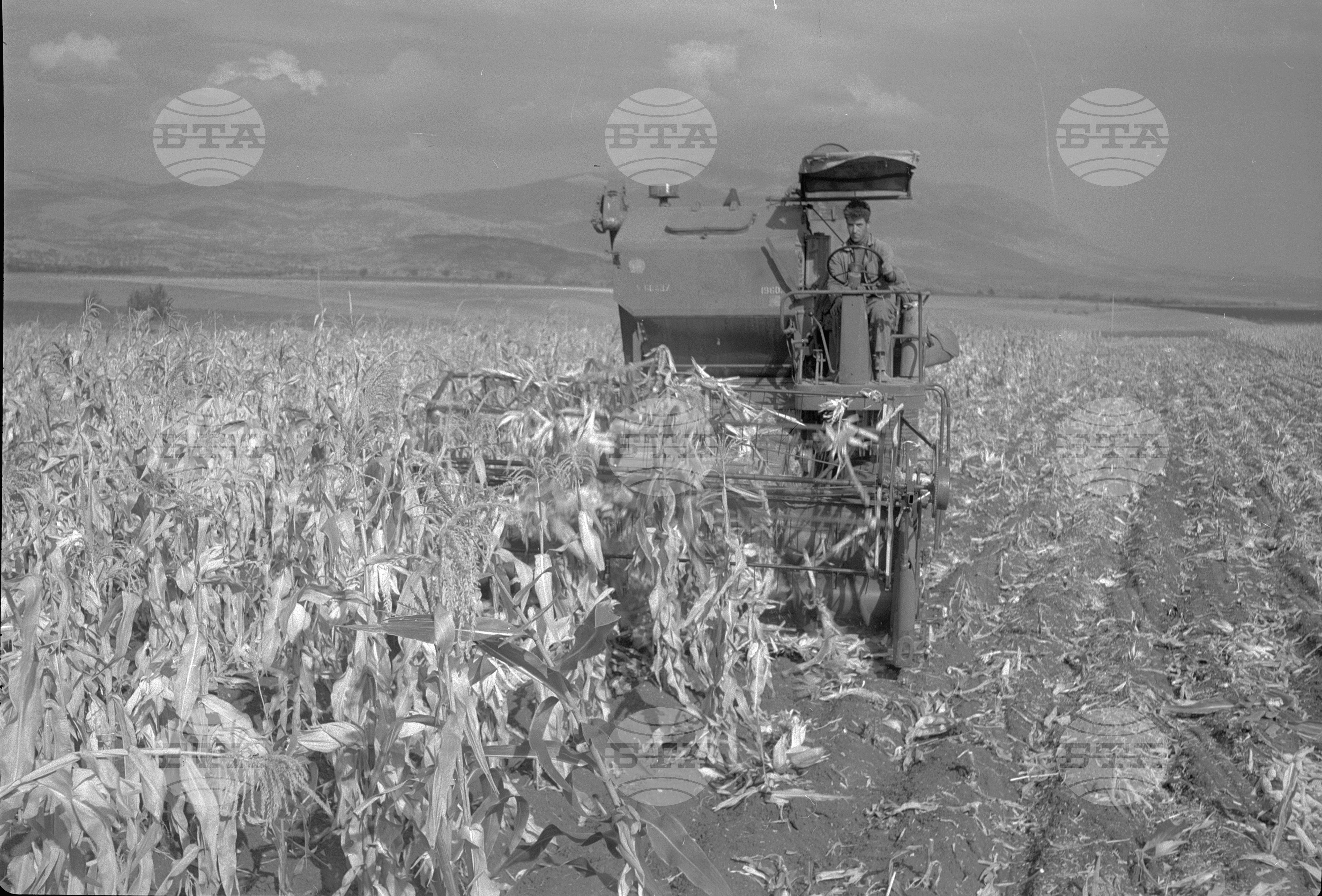 Из Кюстендилски окръг - октомври 1962 година