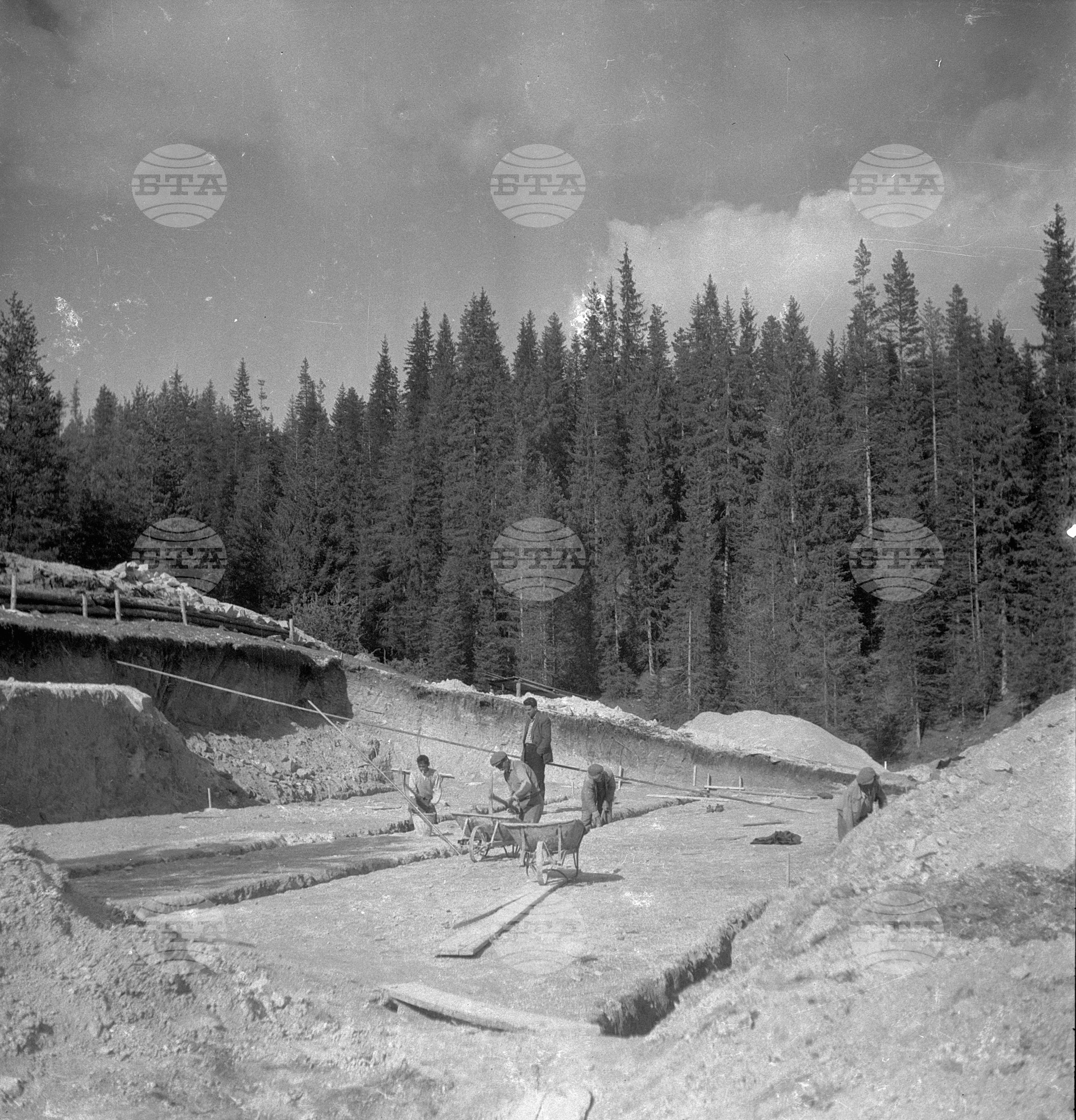 Дърводобив в държавни горски стопанства, 1951 - част 5