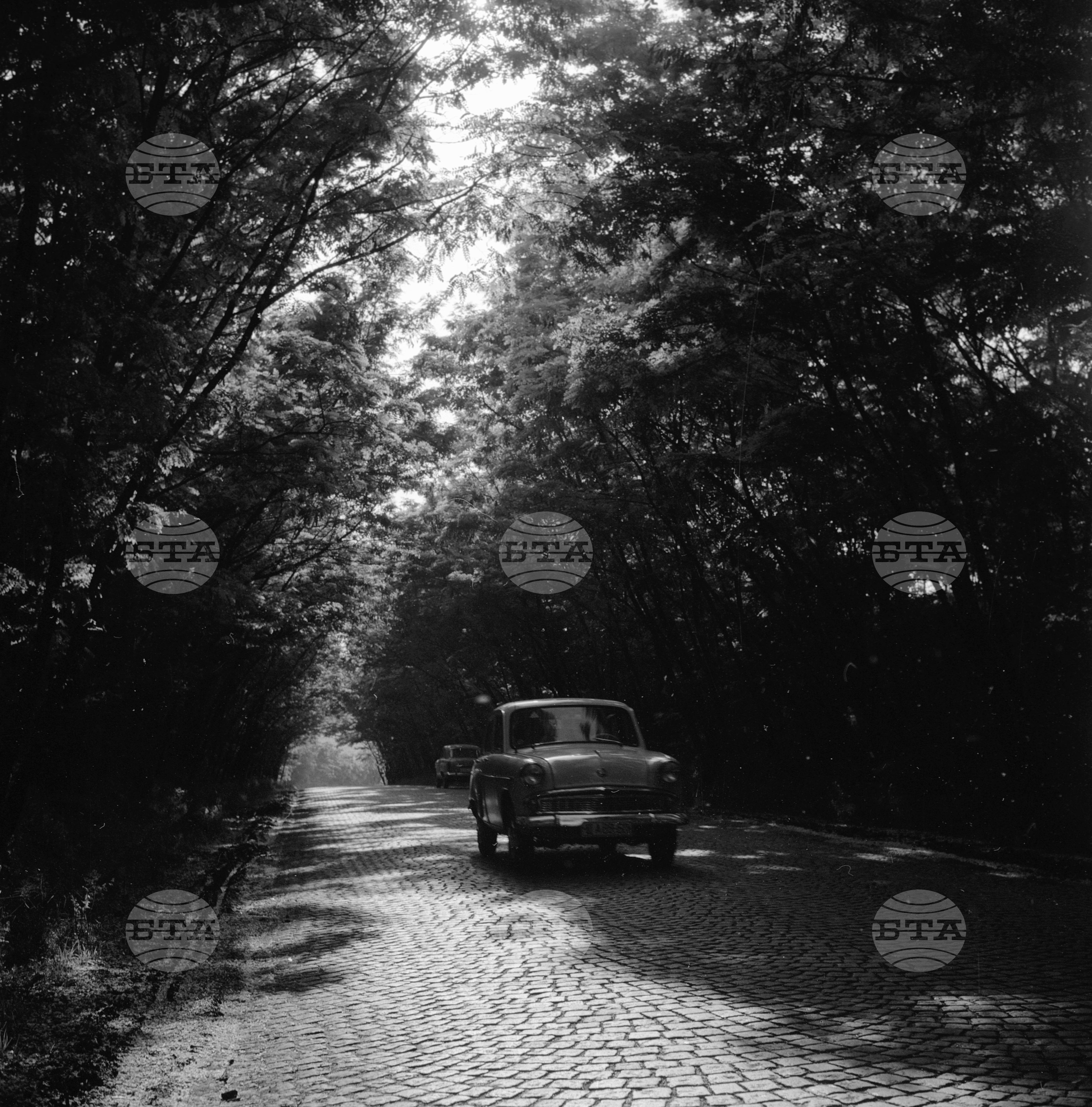 Из Пазарджишки окръг - 1963