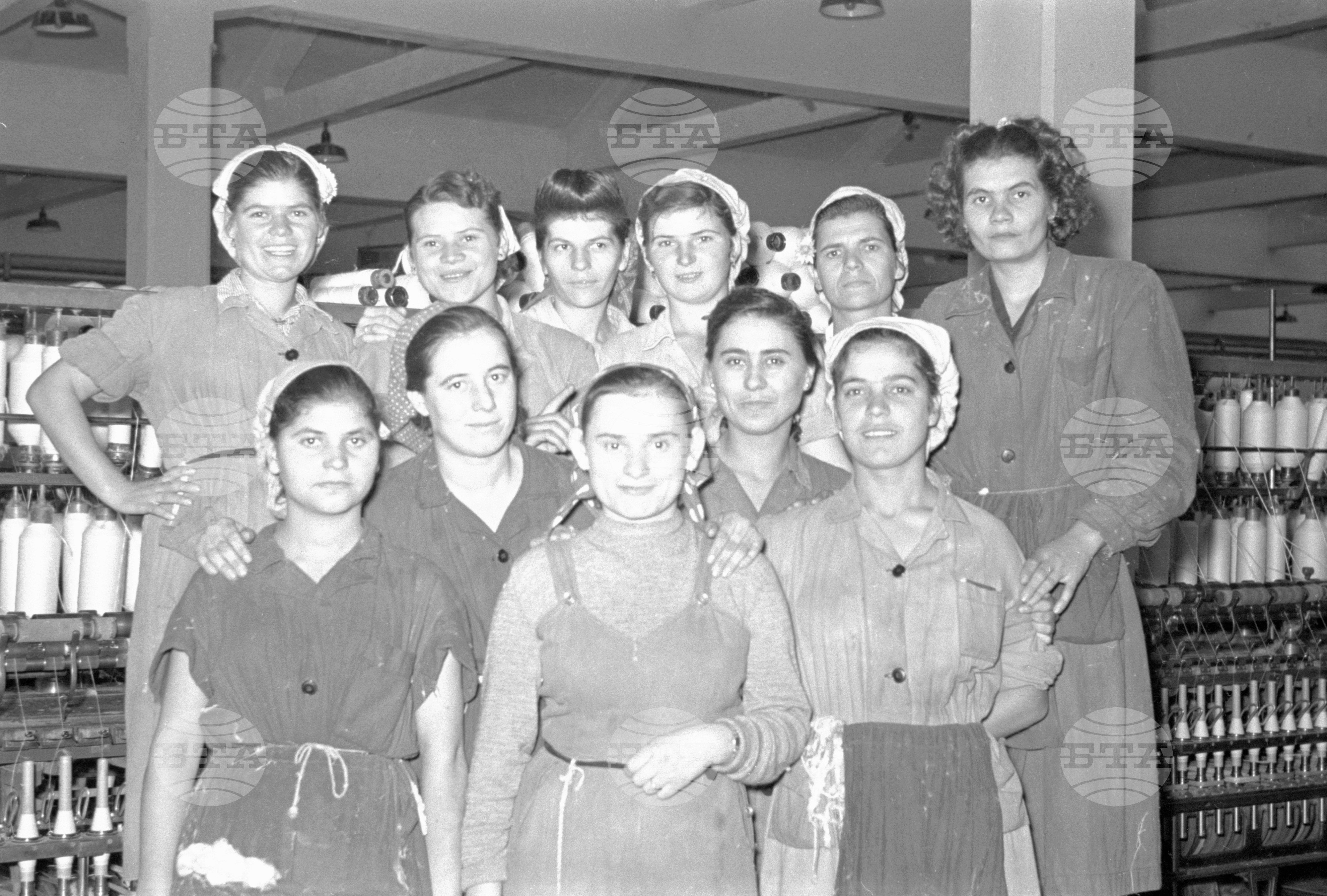 Предачна фабрика „България" - 1953 година