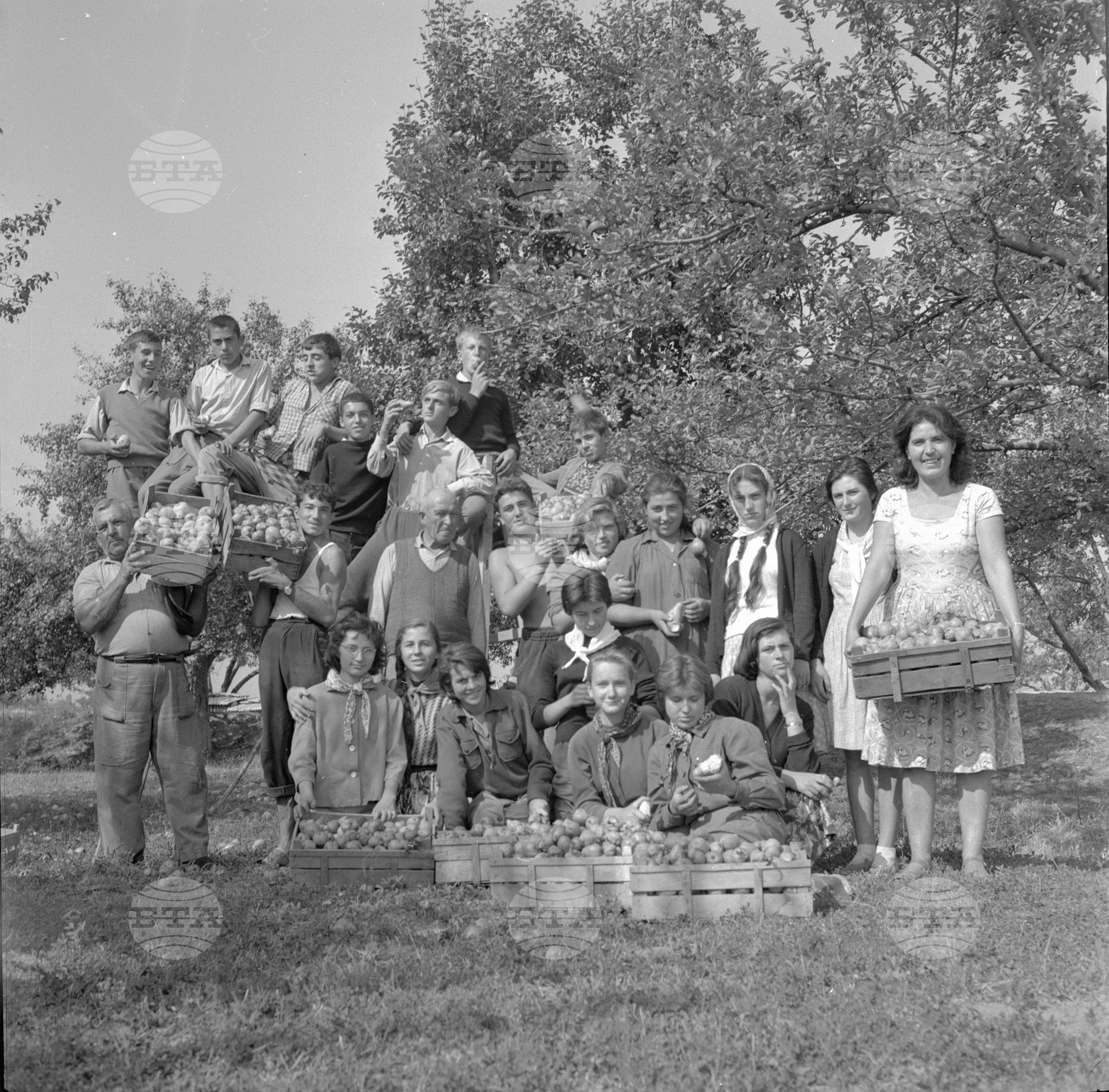 На бригада 1962 година