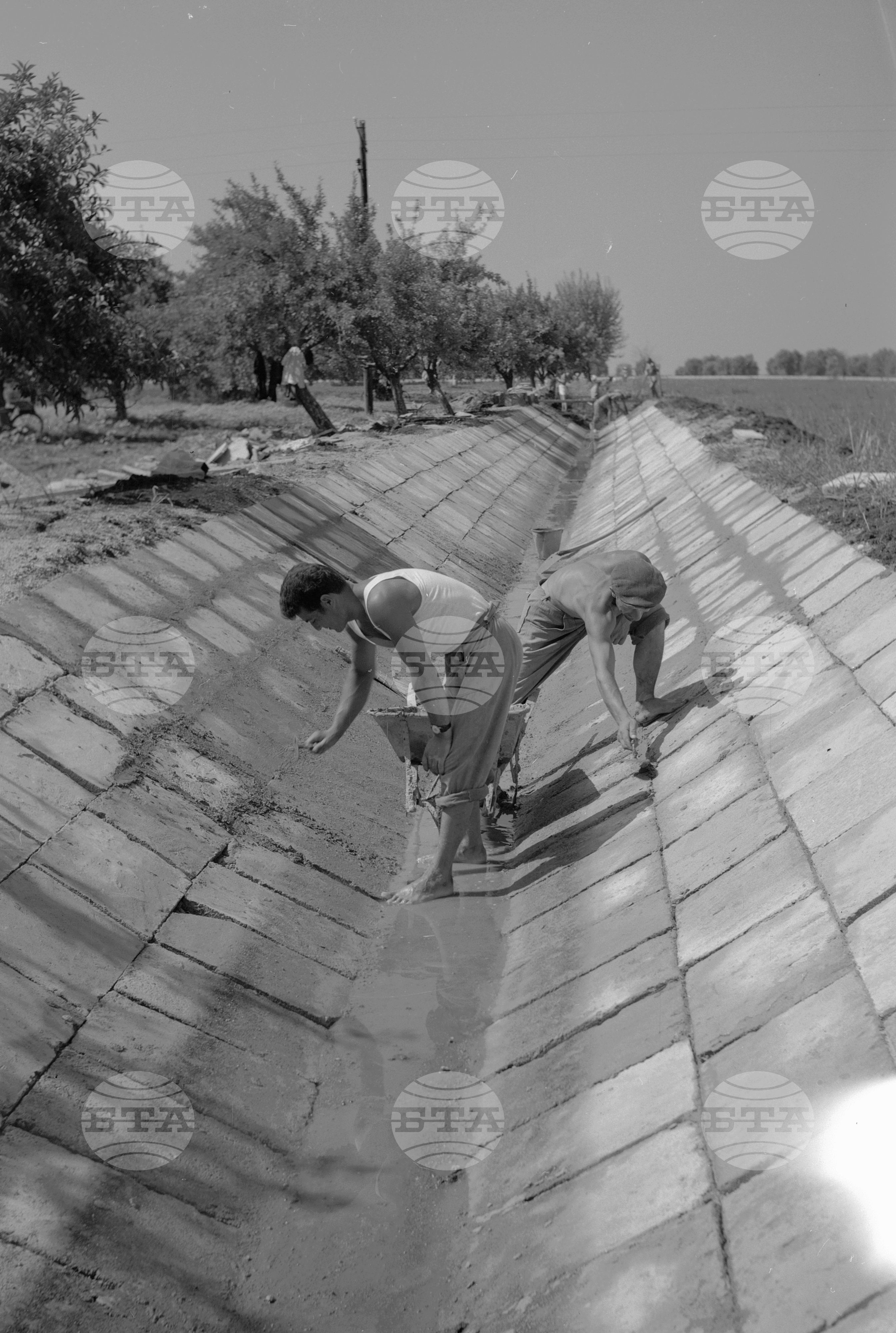 Из Пловдивски окръг - 1963 - част 2
