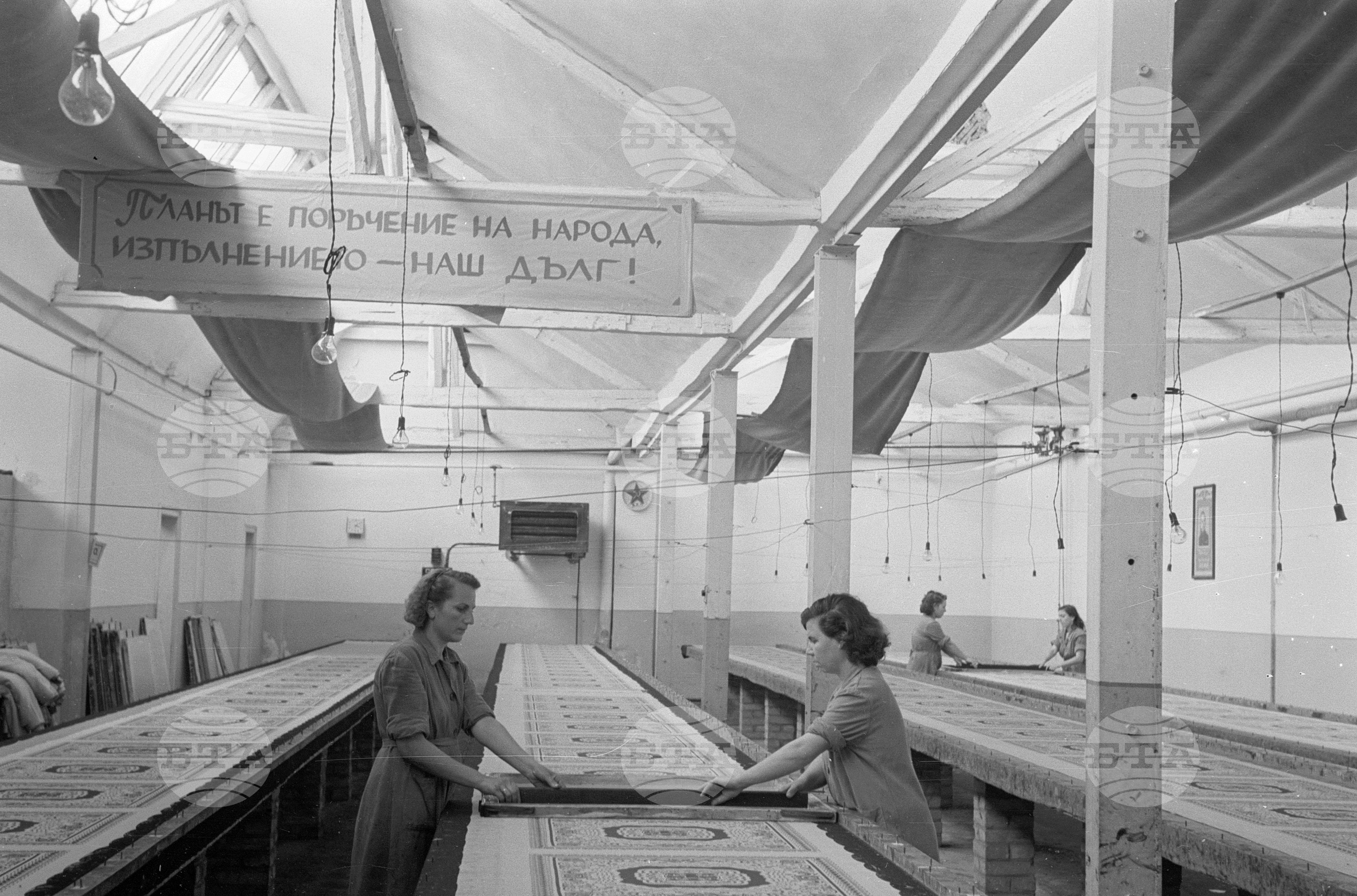 „Дунавска коприна", фабрика за обработка на коприна край Русе - 1953 година