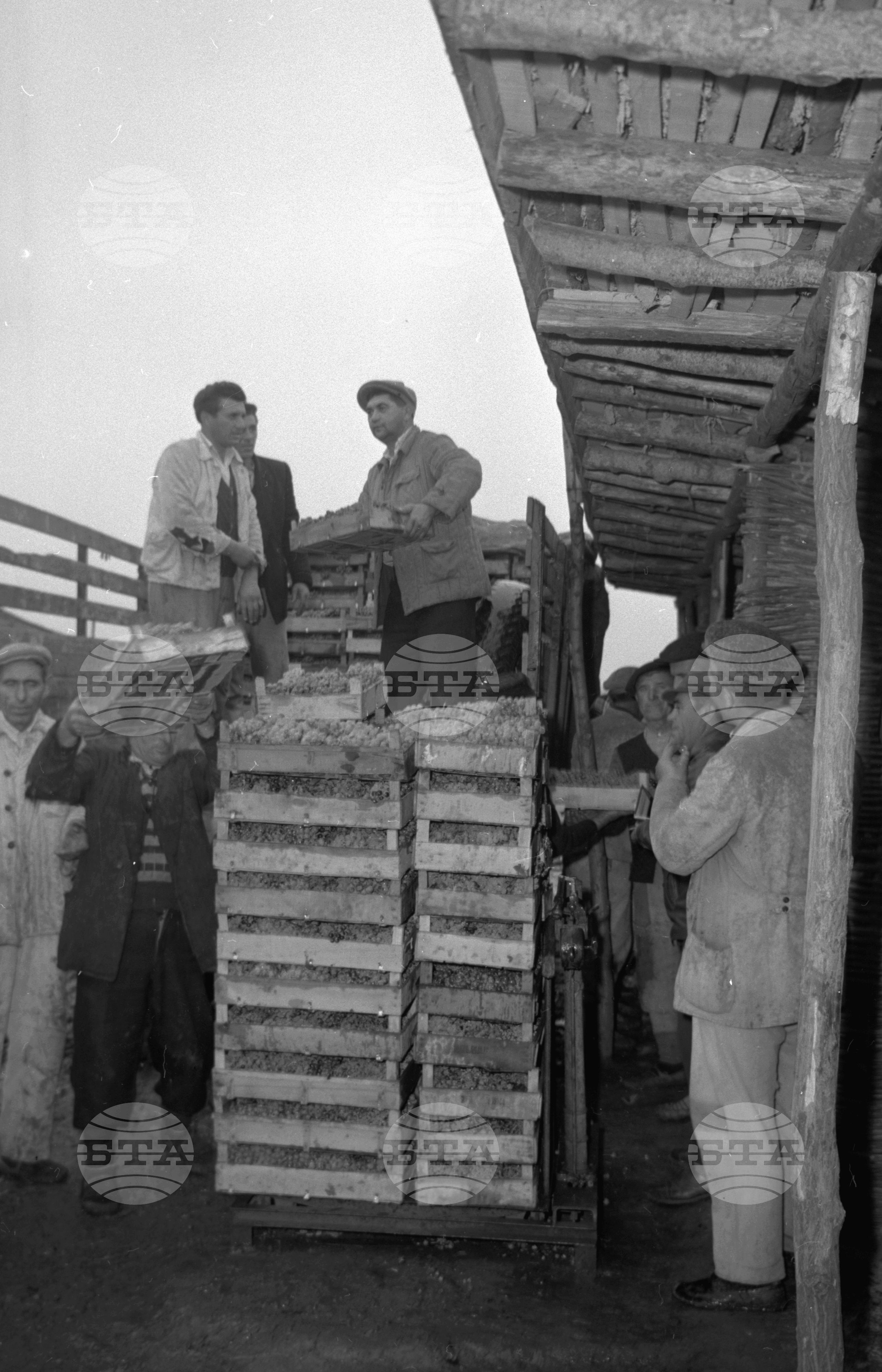 ТКЗС XXII конгрес на КПСС - село Расово, Михайловградски окръг (днес Монтана)