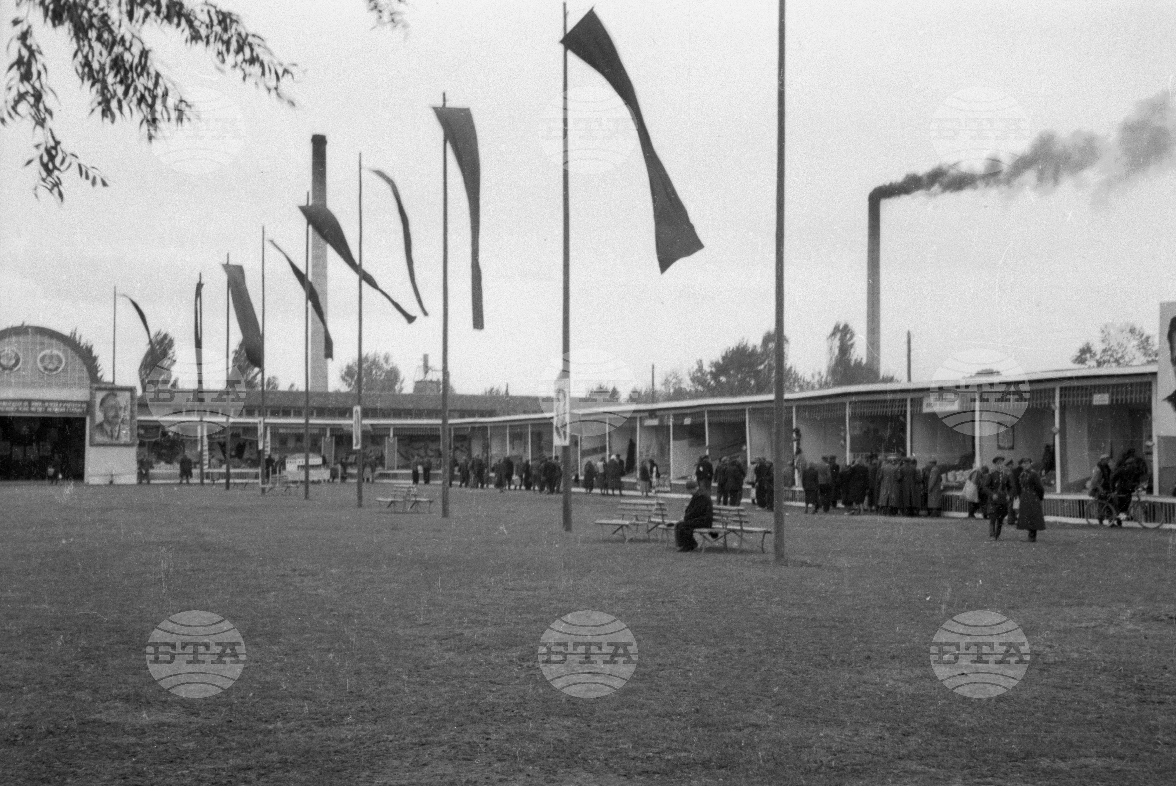 Селскостопанска изложба в Левскиград (дн. Карлово), 1951