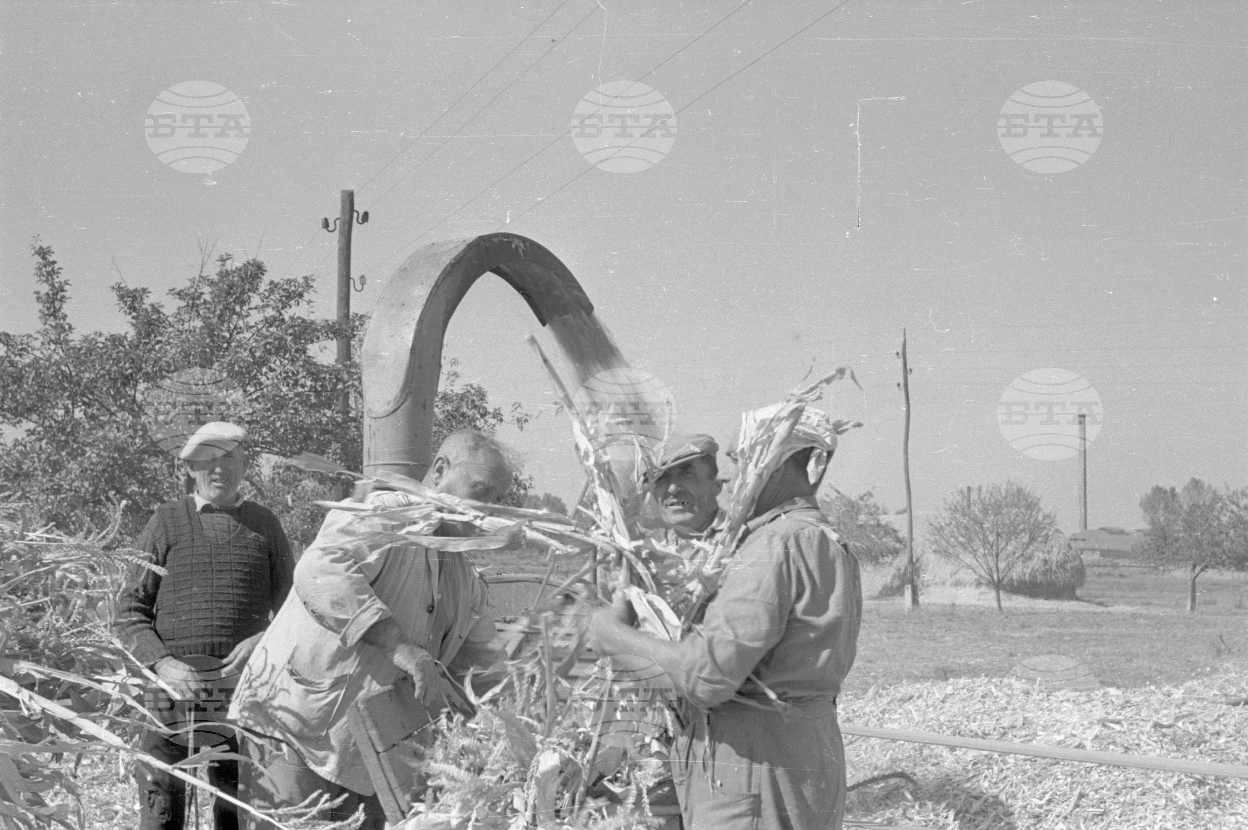 Из Трудово кооперативно земеделско стопанство (ТКЗС) село Долни Богров - Софийски окръг