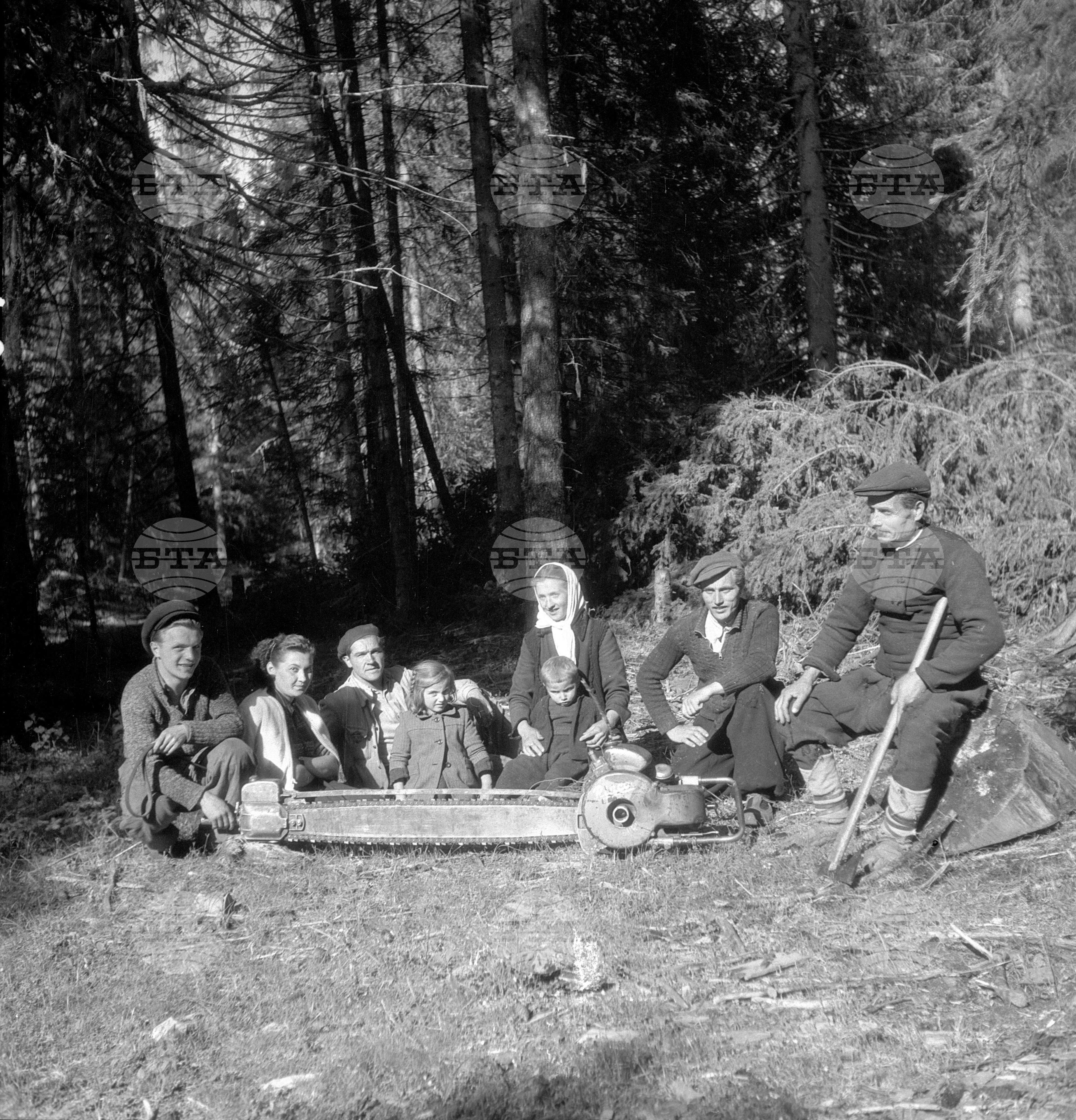 Дърводобив в държавни горски стопанства, 1951 - част 7