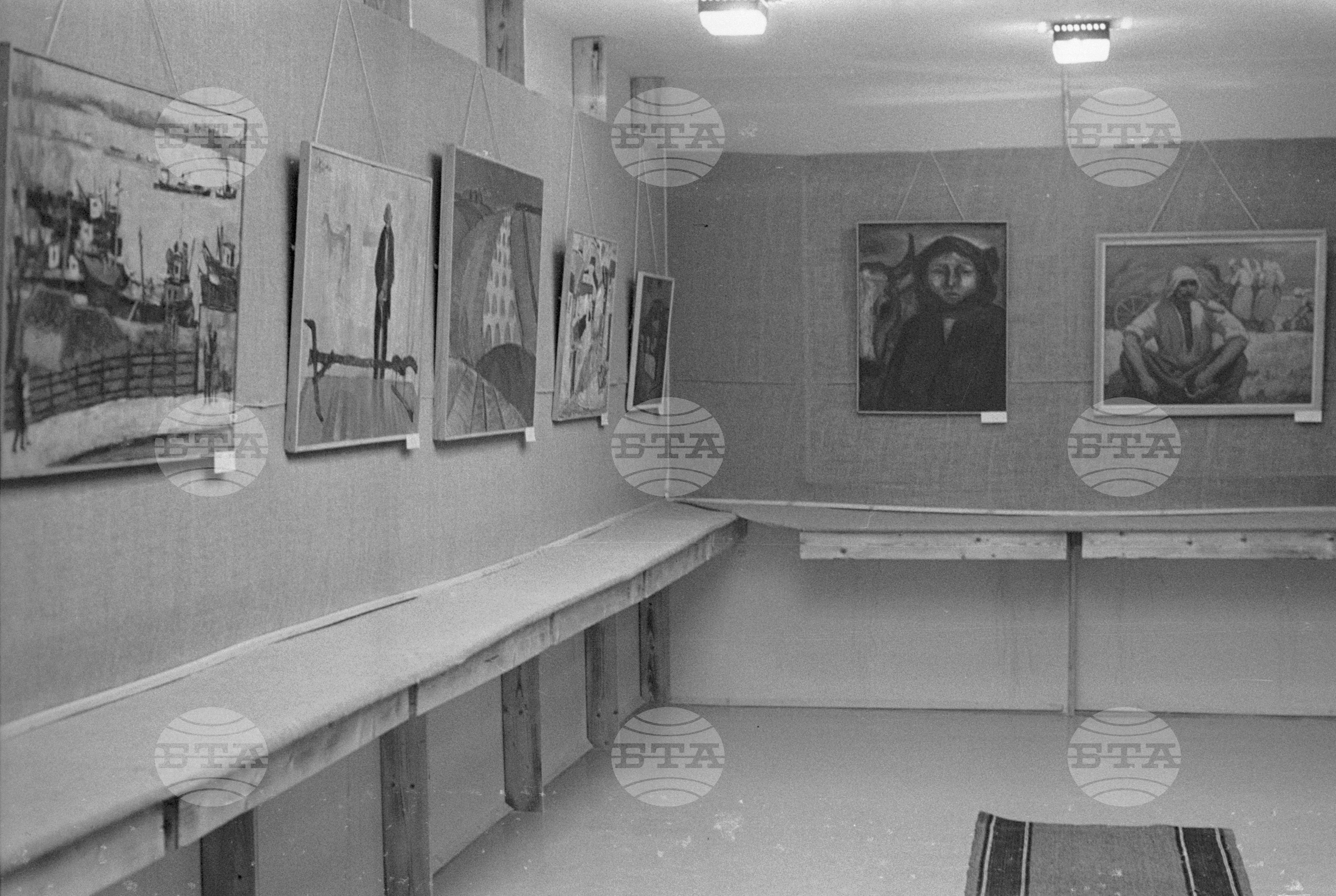 Строи се електропровод на дружбата