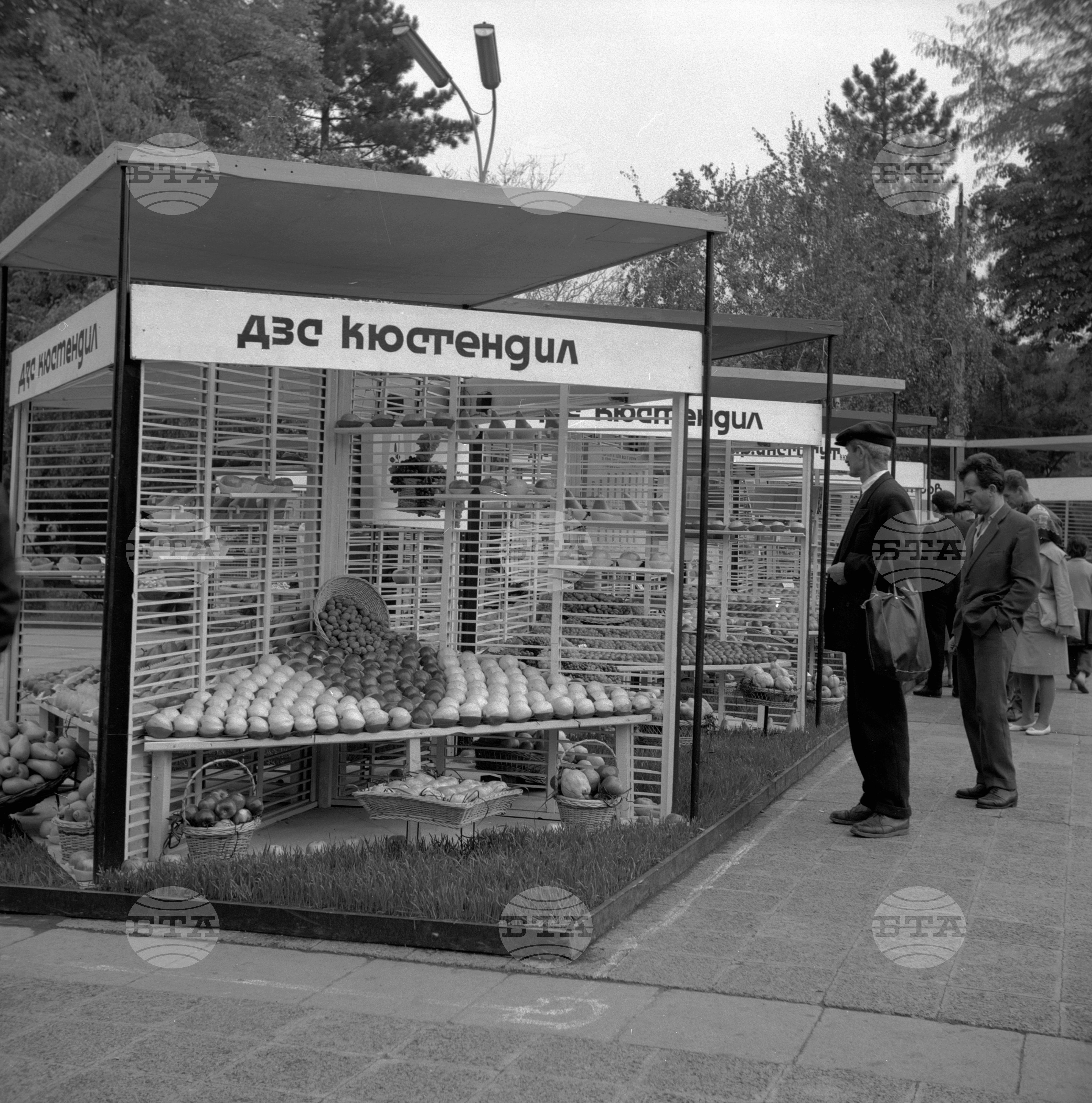 Втора национална изложба на плодове в Кюстендил