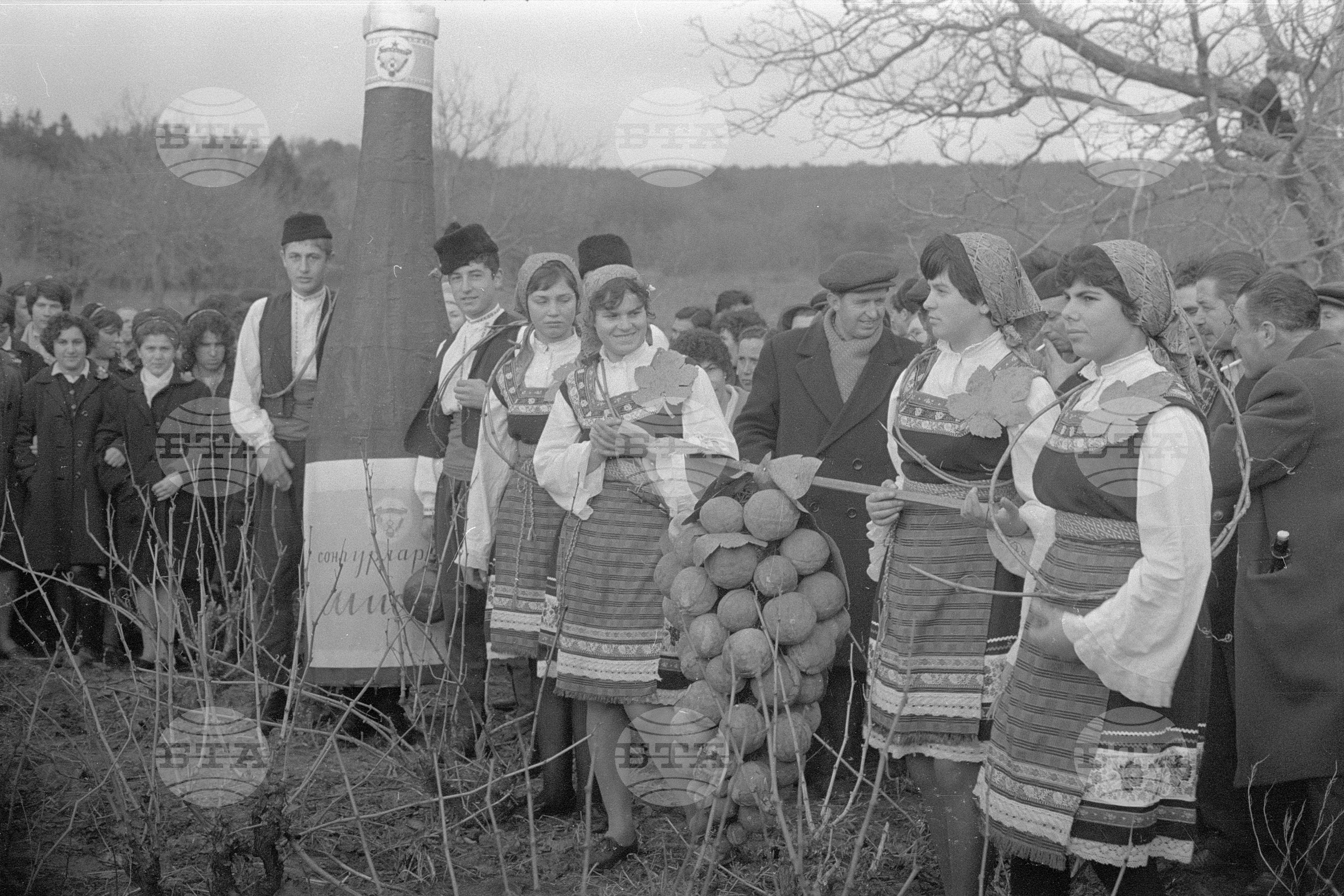 Деня на лозаря в село Сунгурларе