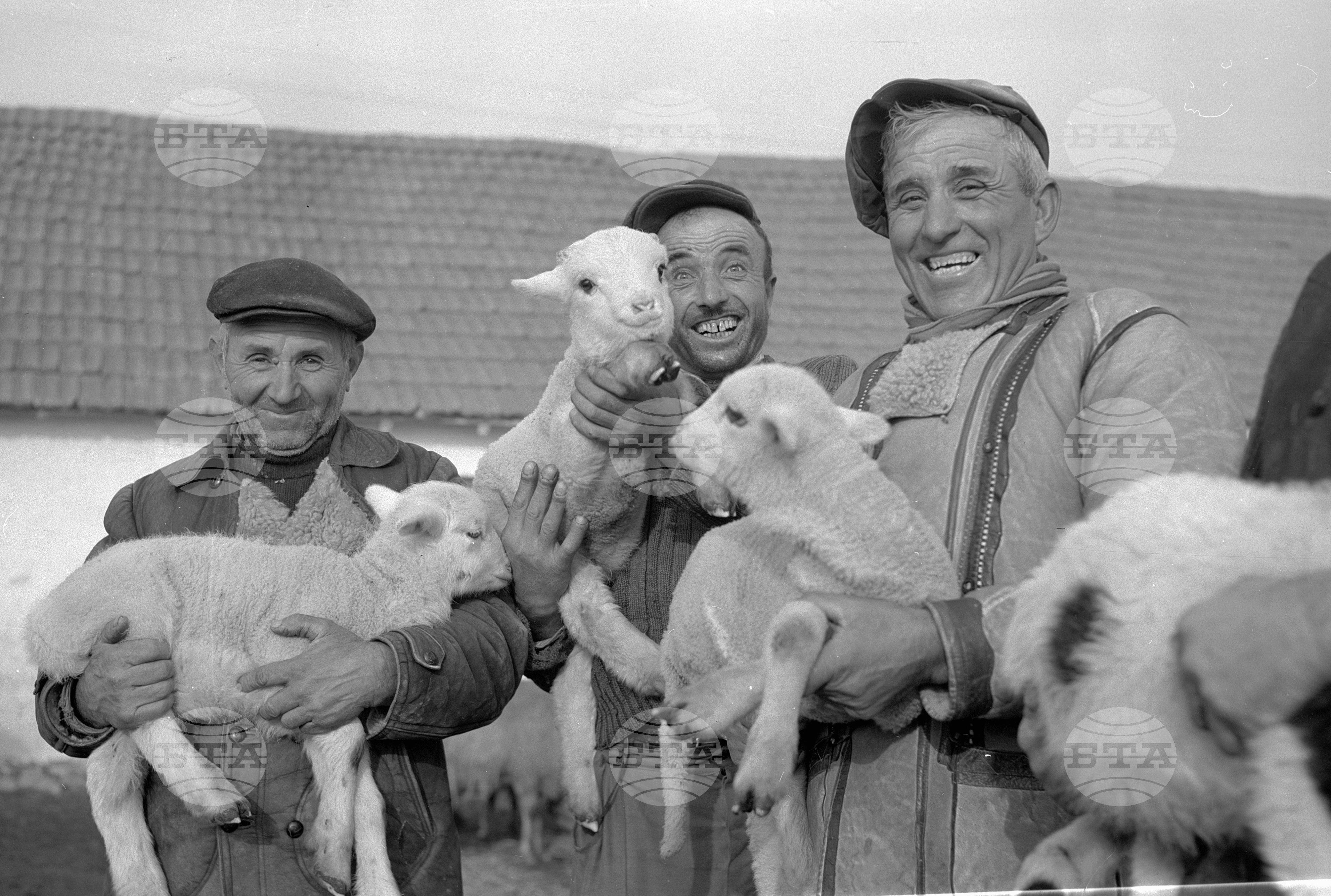 ТКЗС (Трудово кооперативно земеделско стопанство) град Елин Пелин