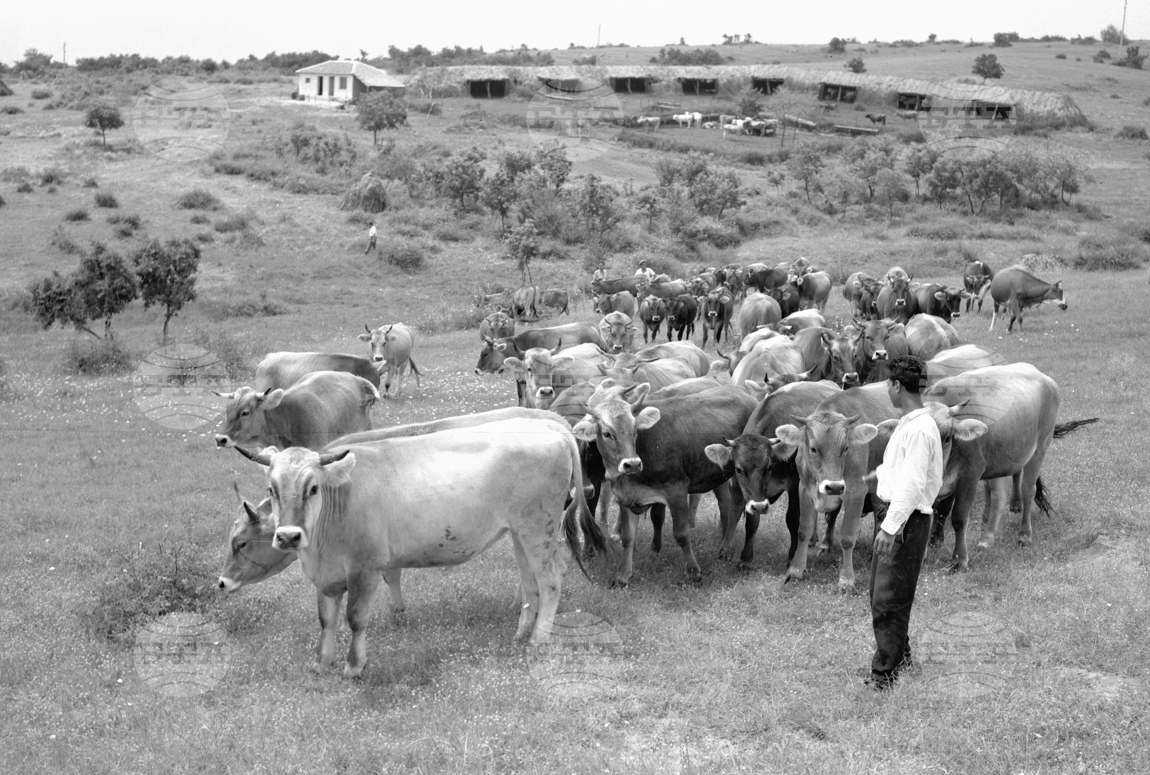 ТКЗС в село Узунджово, Хасковски окръг - 1963
