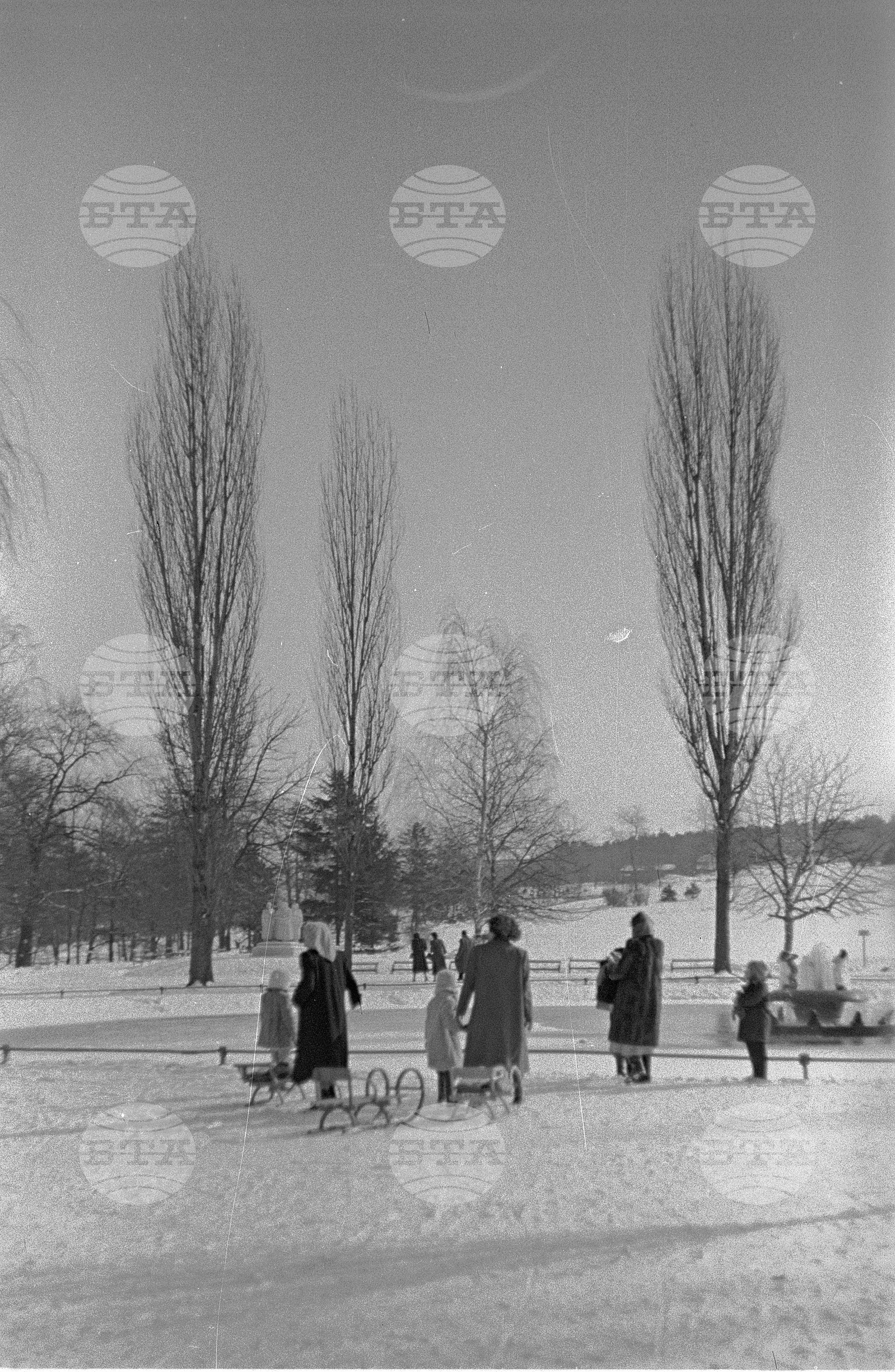 Зимни пейзажи от Парка на свободата в София - 1953 година