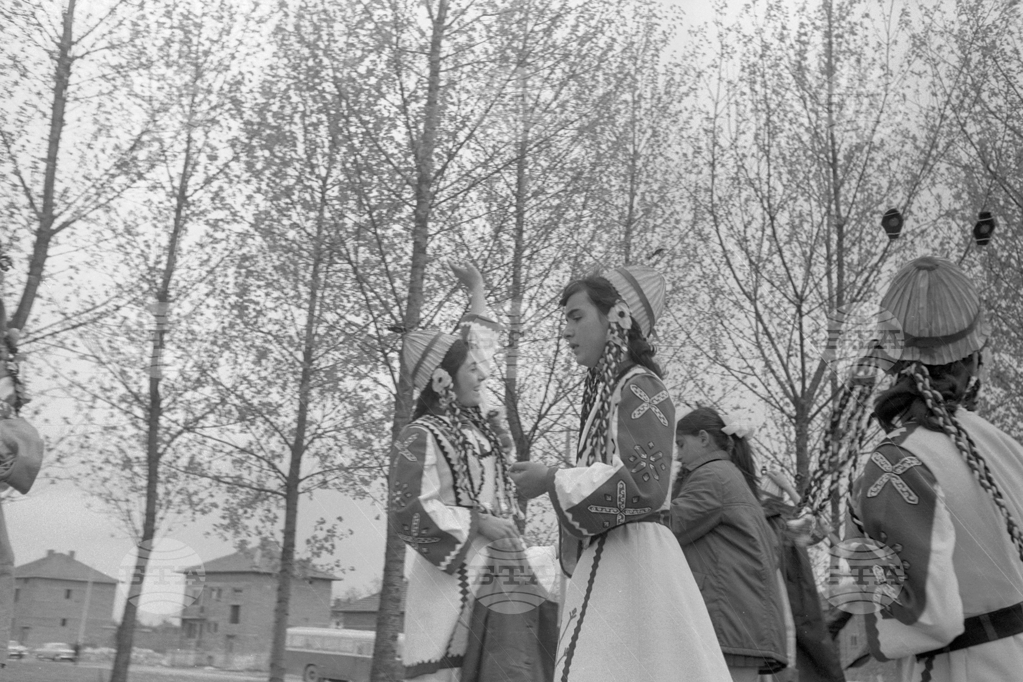 Шопски празник в Елин Пелин през 1972 година - част 2