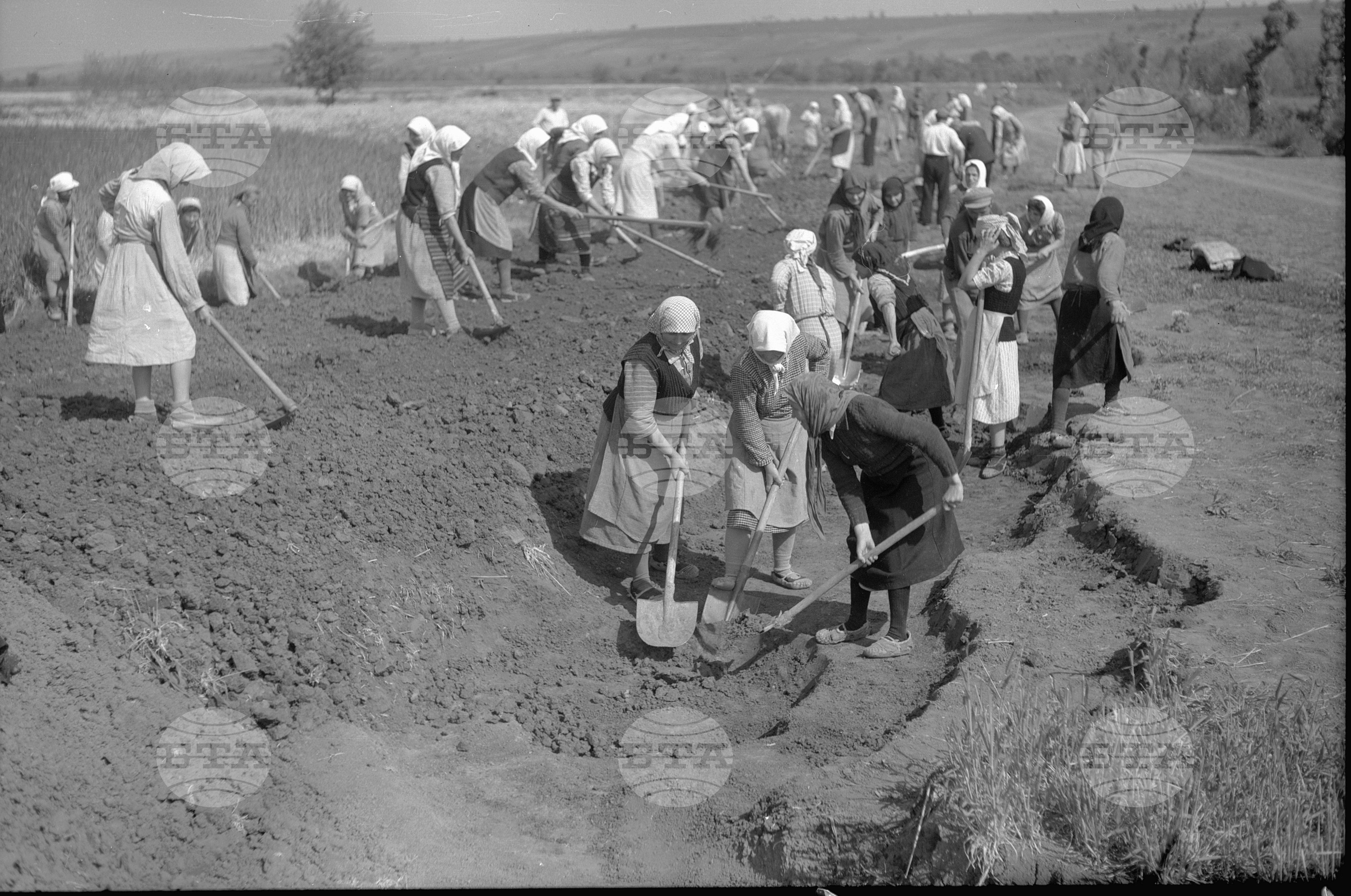 Селскостопански и културни обекти в село Търнава, Белослатинско