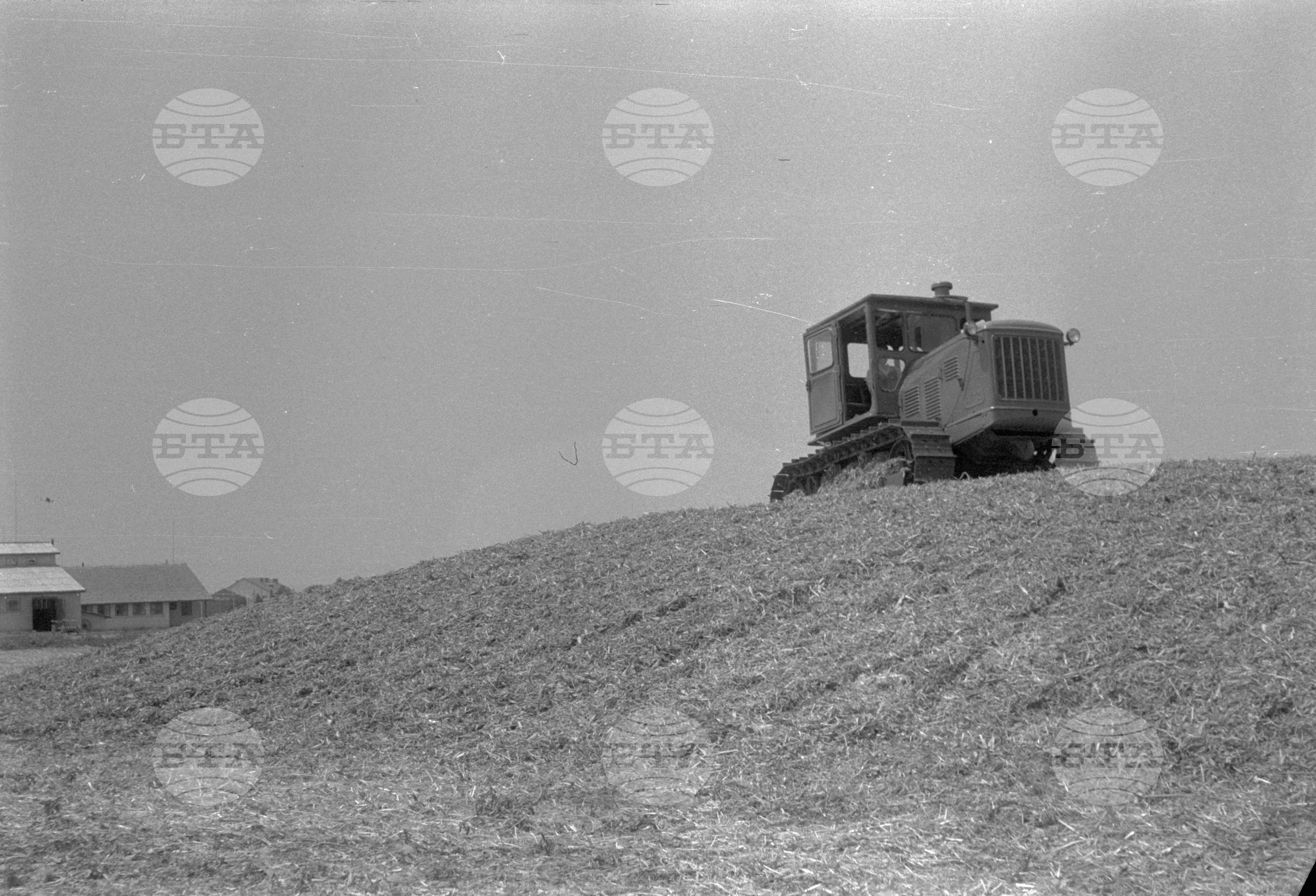 Трудово-кооперативно земеделски стопанства (ТКЗС), Русенски окръг - 1963