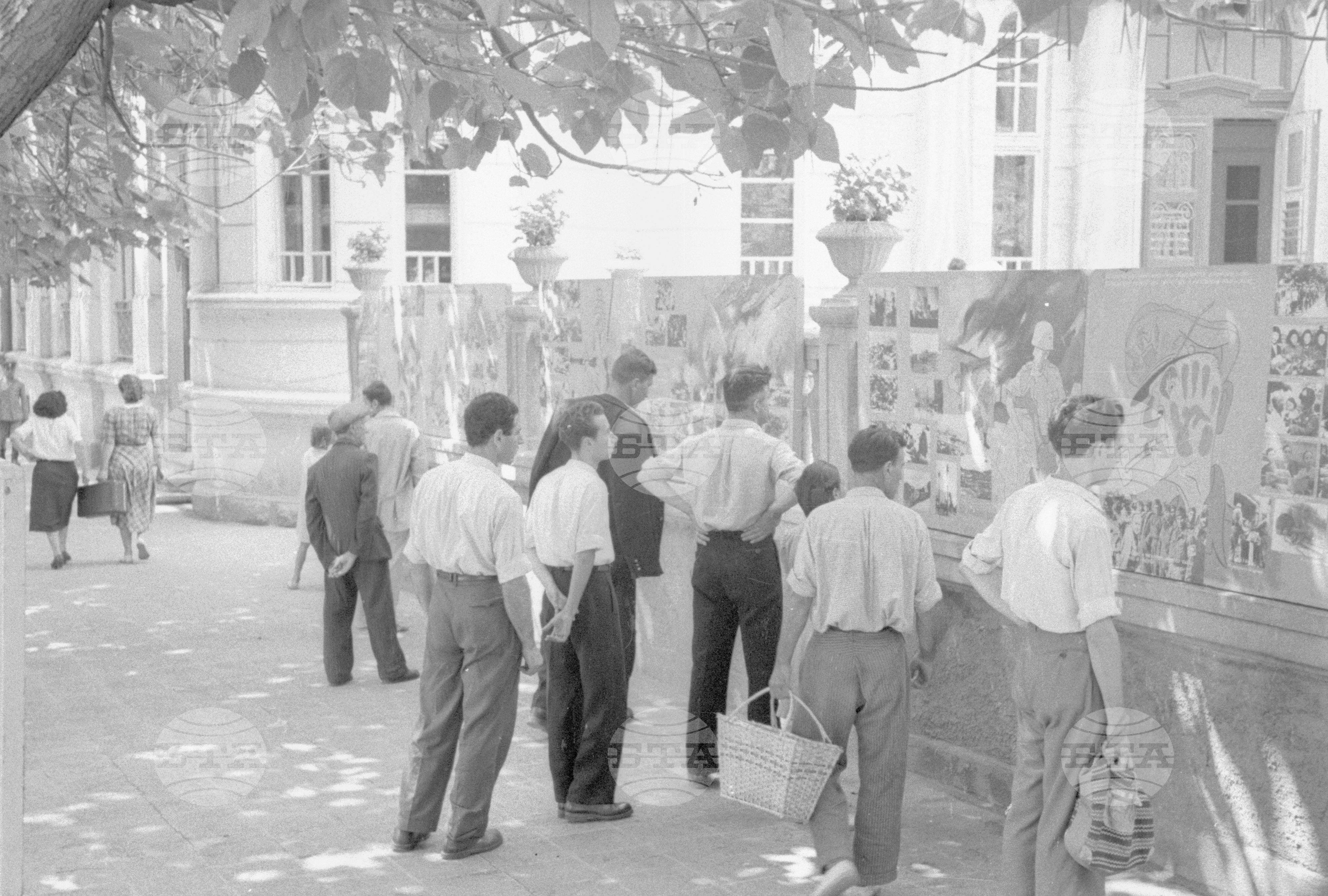 Архив - Българска телеграфна агенция, 1951
