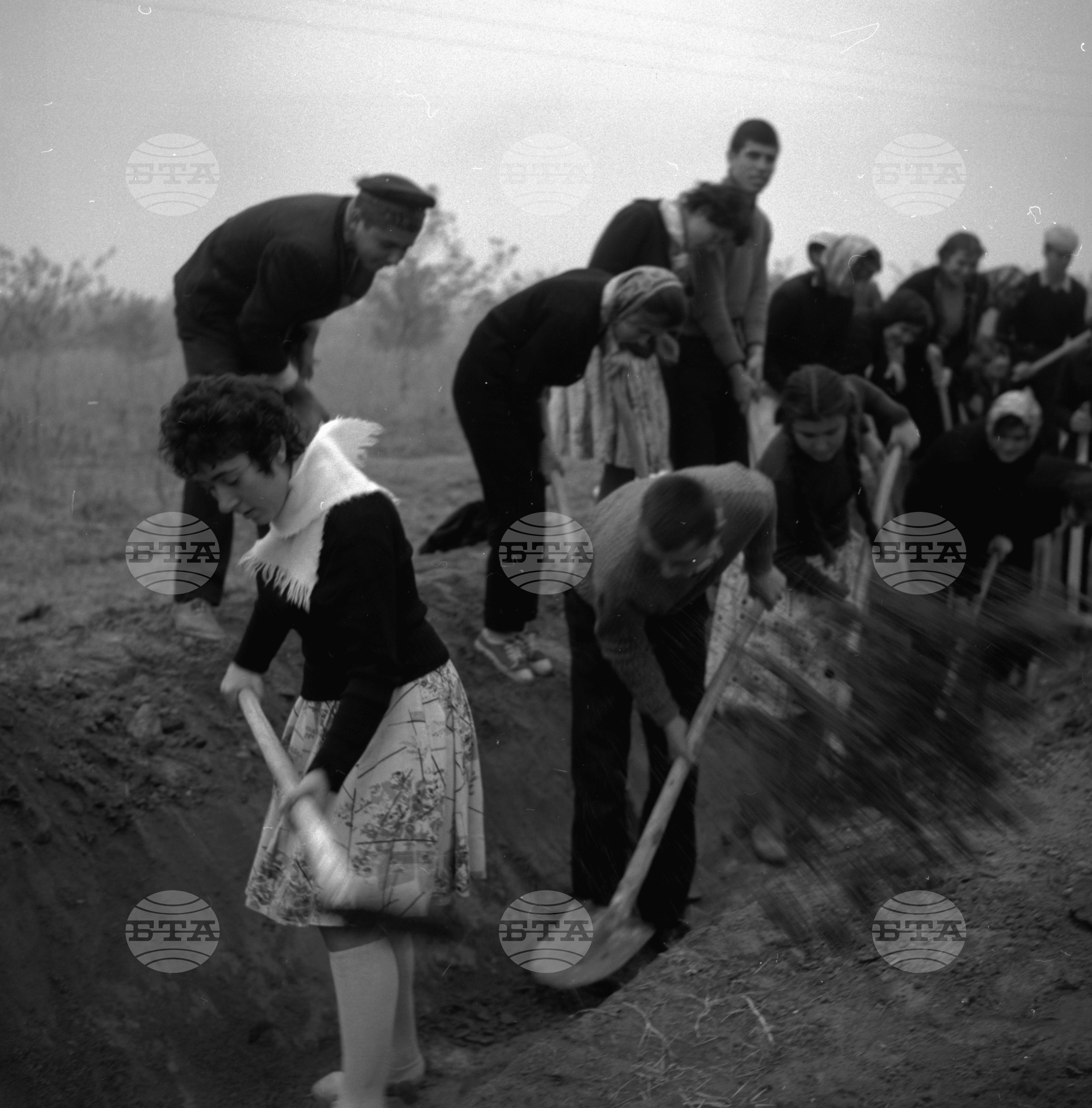 Доброволен комсомолски труд