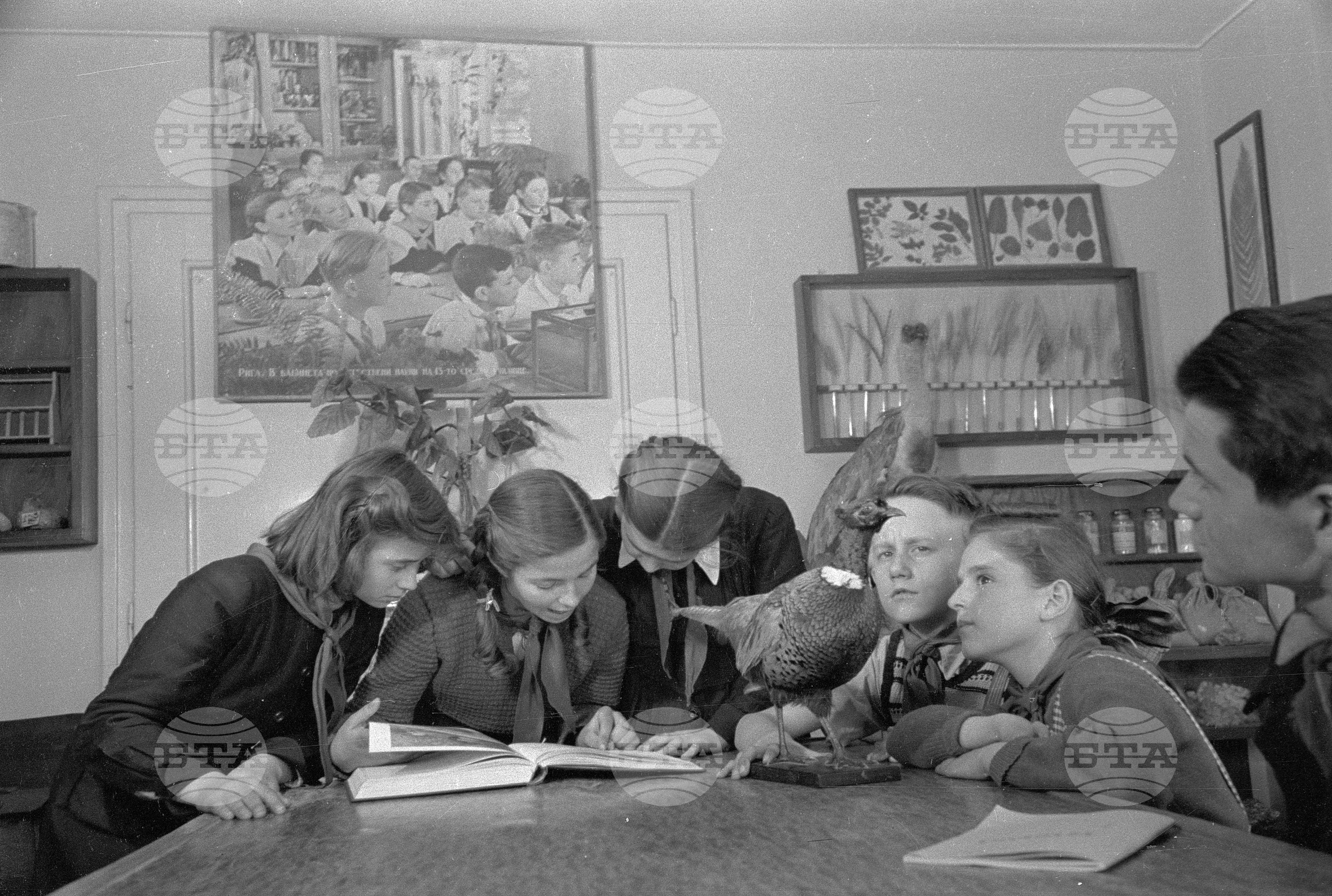 Пионерски дом в Пловдив