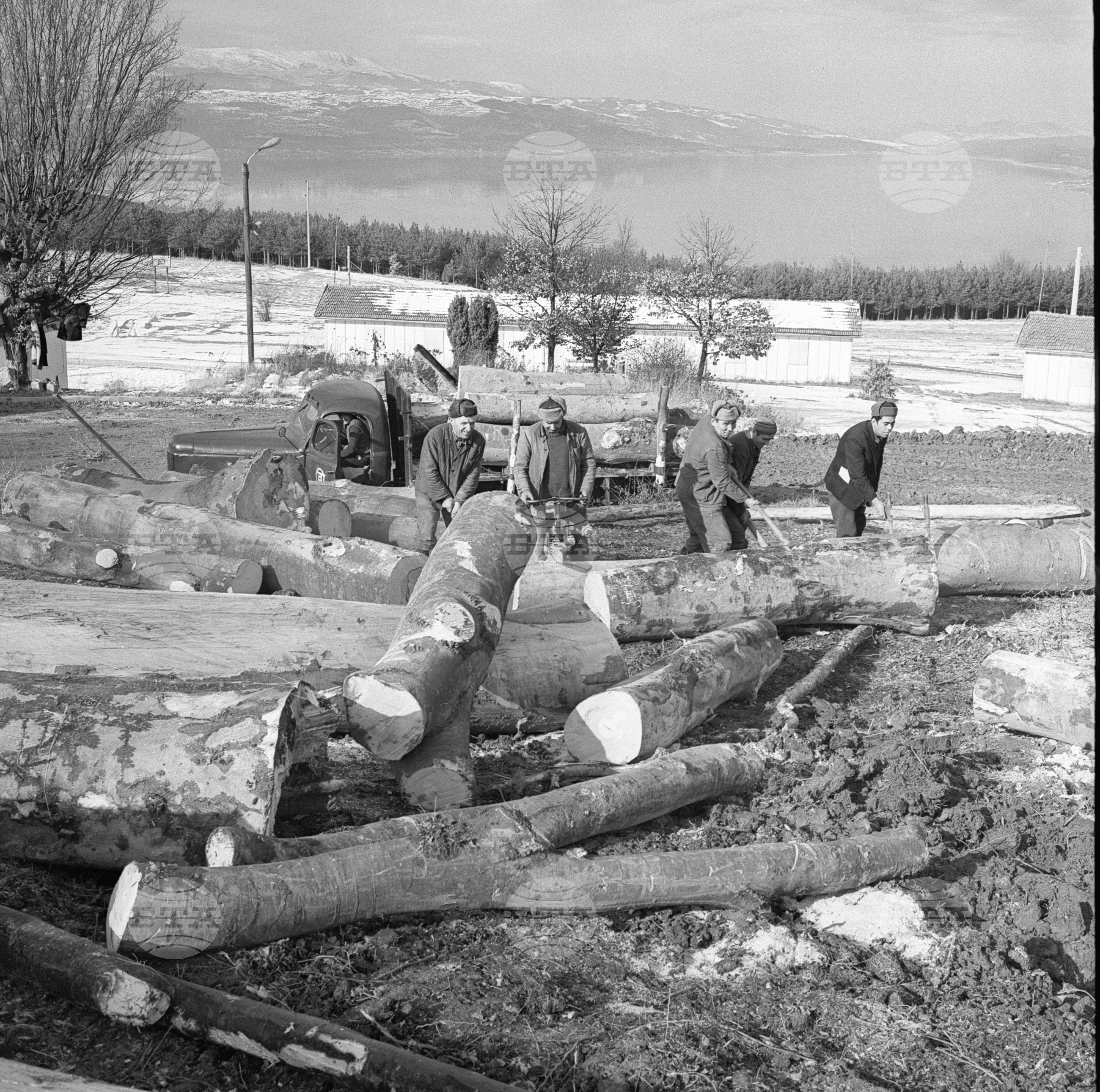 Горско стопанство в град Самоков - 1972 година