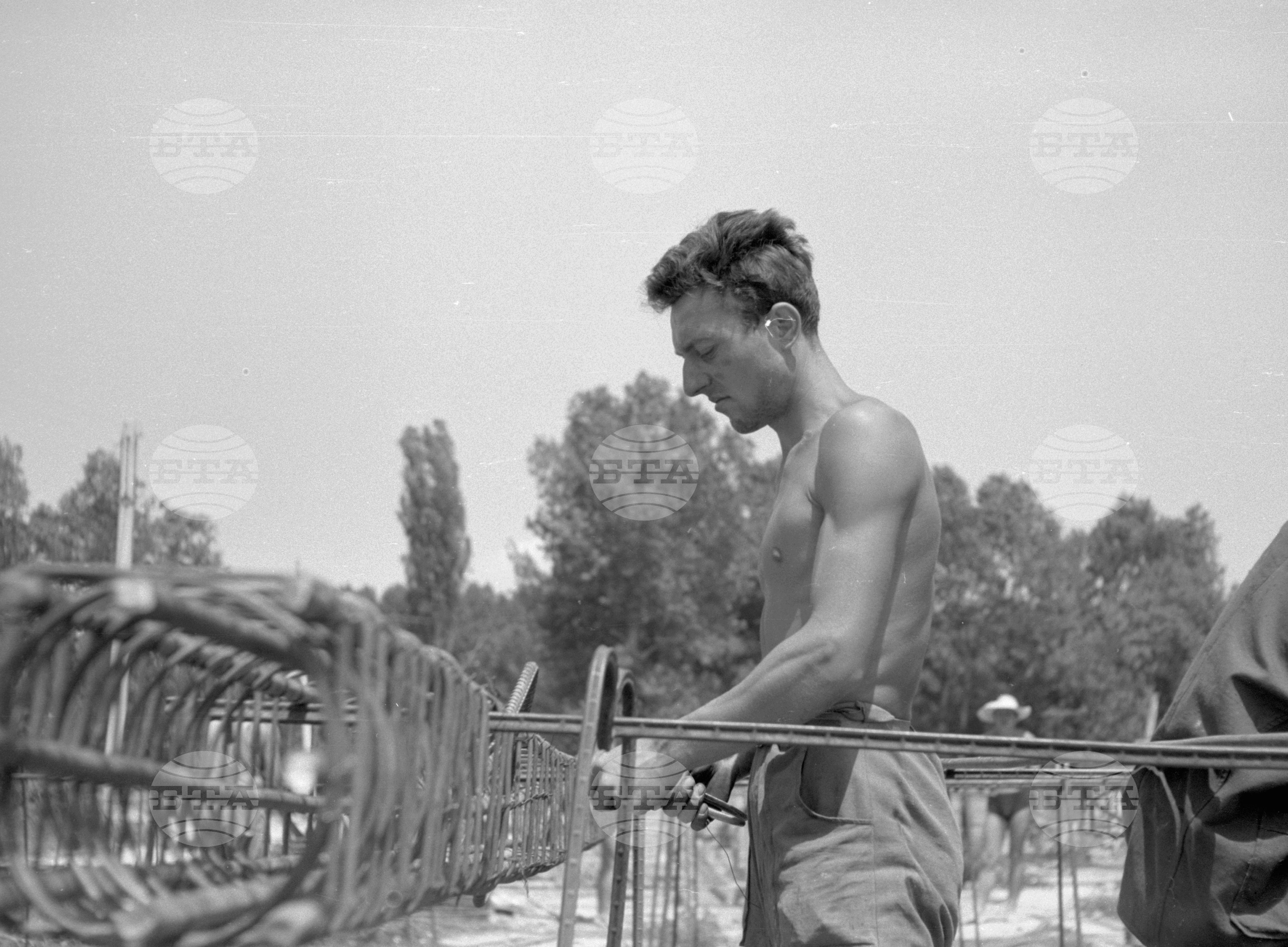 Снимки от Видински окръг - 1963