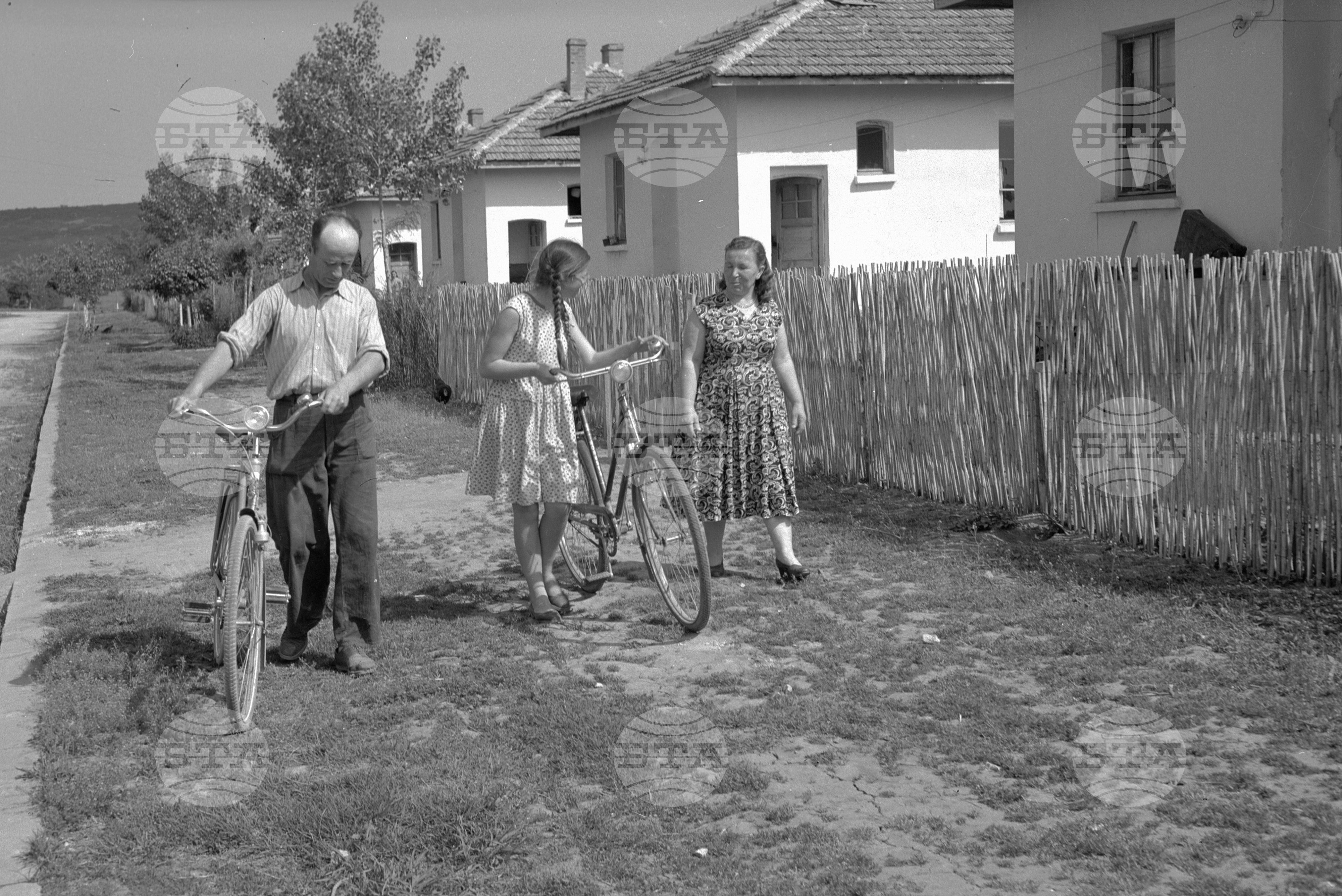 Из ДЗС (Държавно земеделско стопанство) "Георги Димитров" - край град Плевен (илюстрация на тема за списание "Новоя Болгария")
