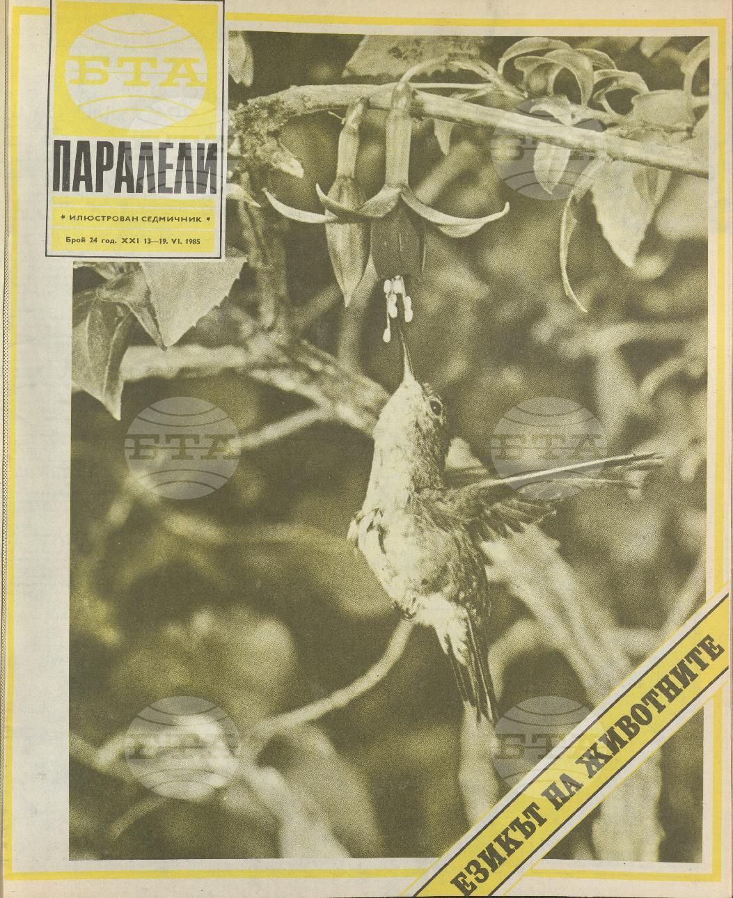 Паралели 1 - 52 брой 1985 година