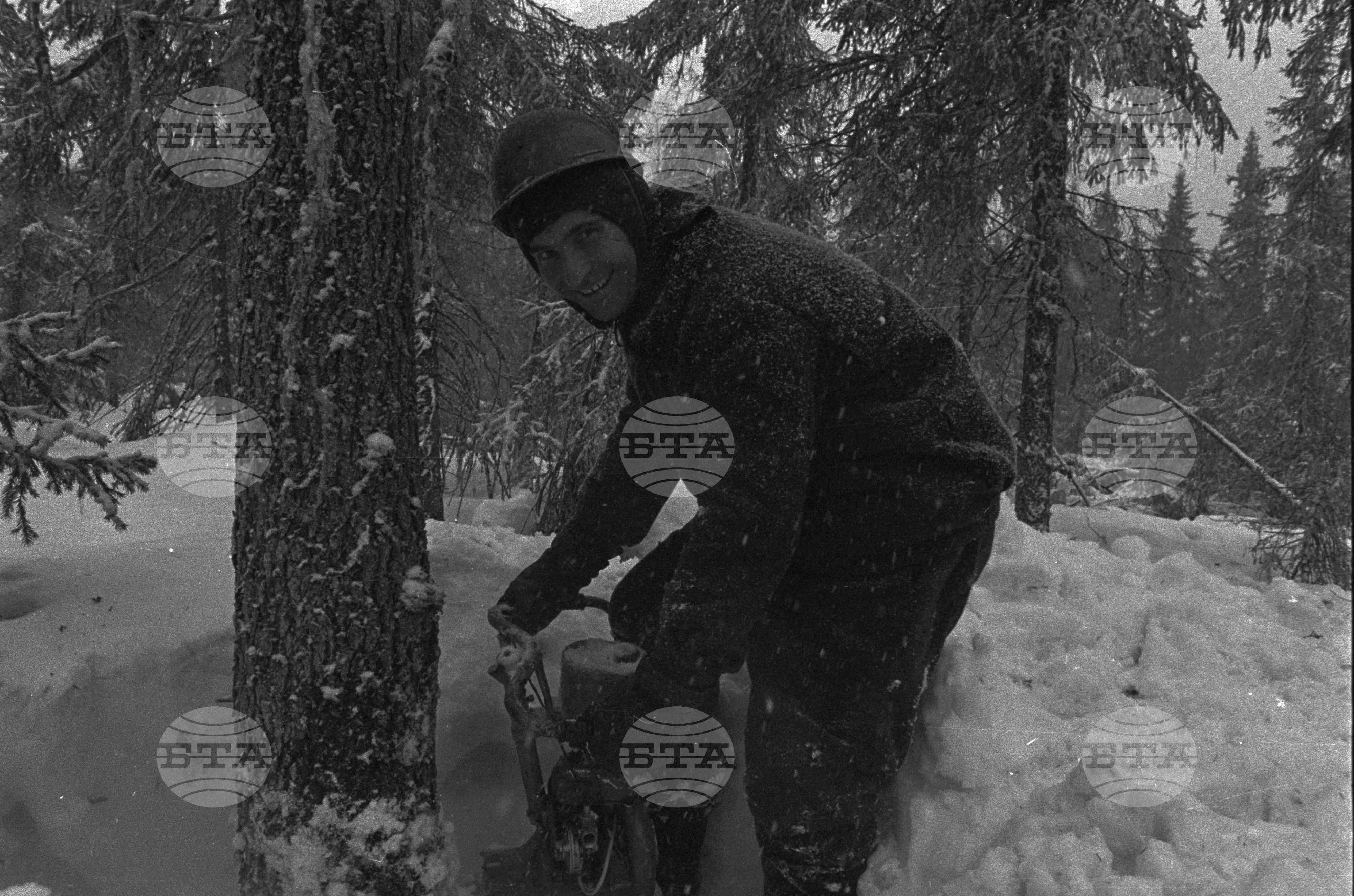 Из Българското горско промишлено предприятие в Коми - АССР (Автономна съветска социалистическа република)