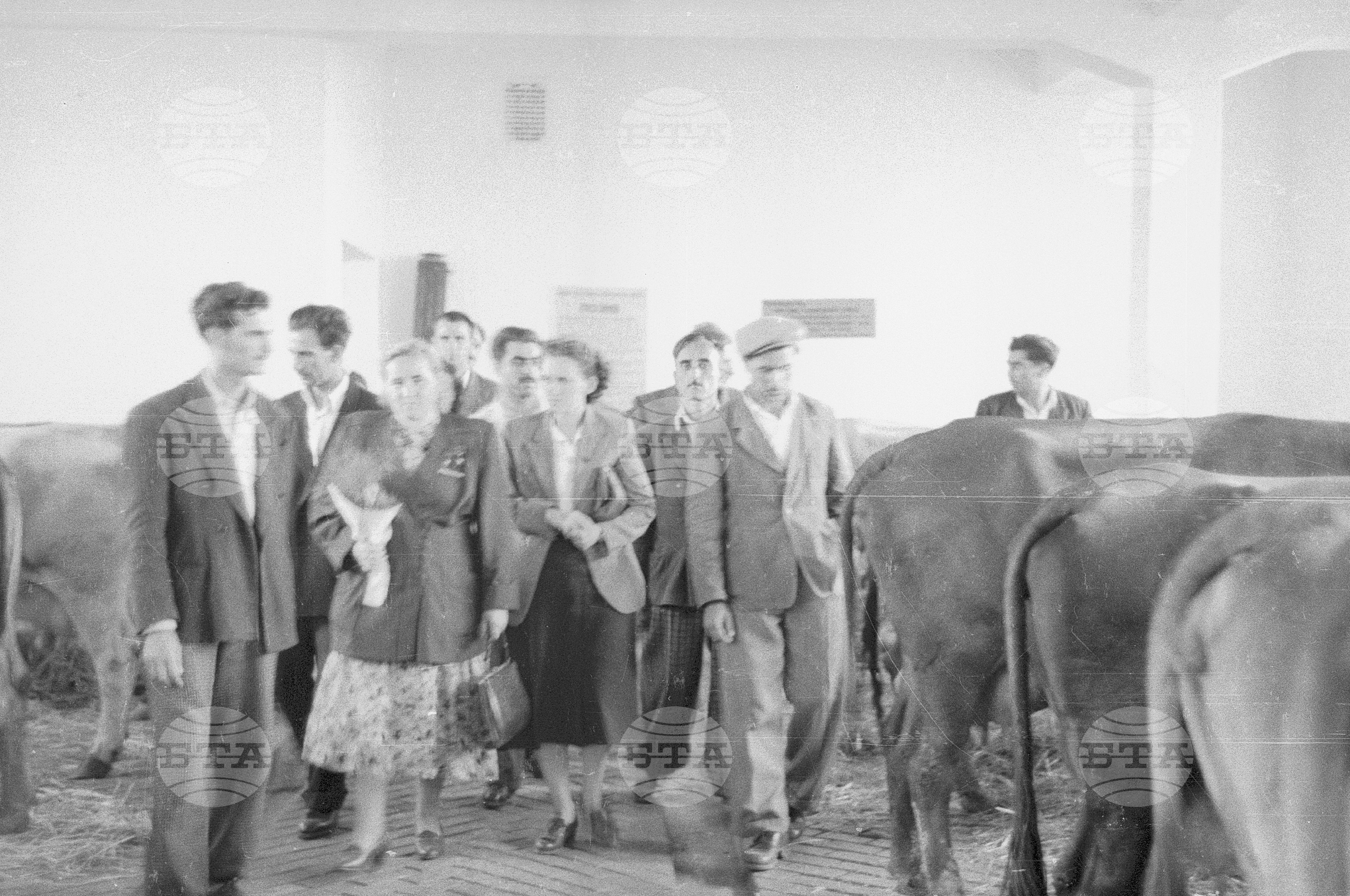 Съветските гости по време на месеца на Съветската дружба, 1951 година - Чекирьов, Скрябин и други