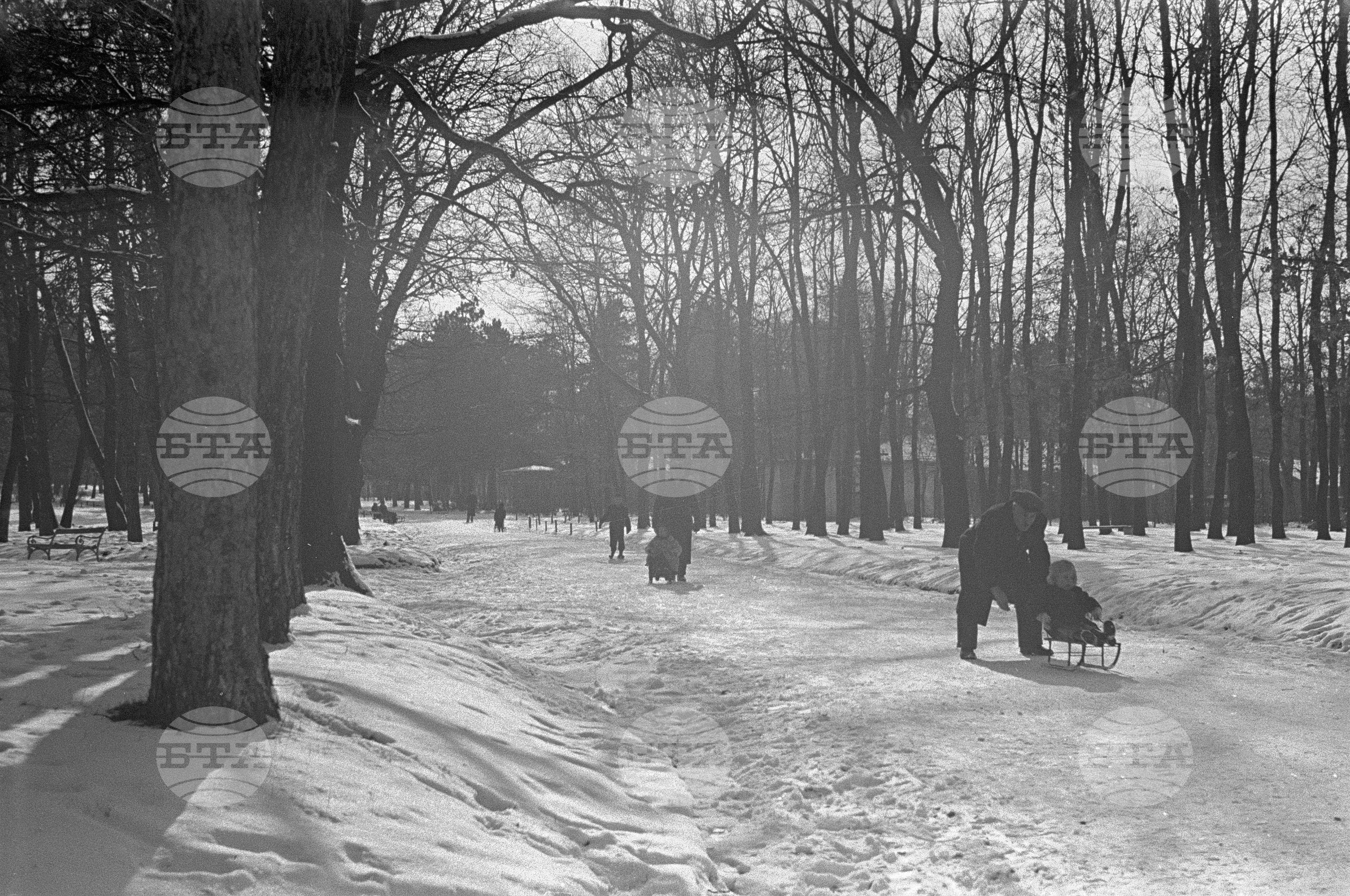 Зимни пейзажи от Парка на свободата в София - 1953 година