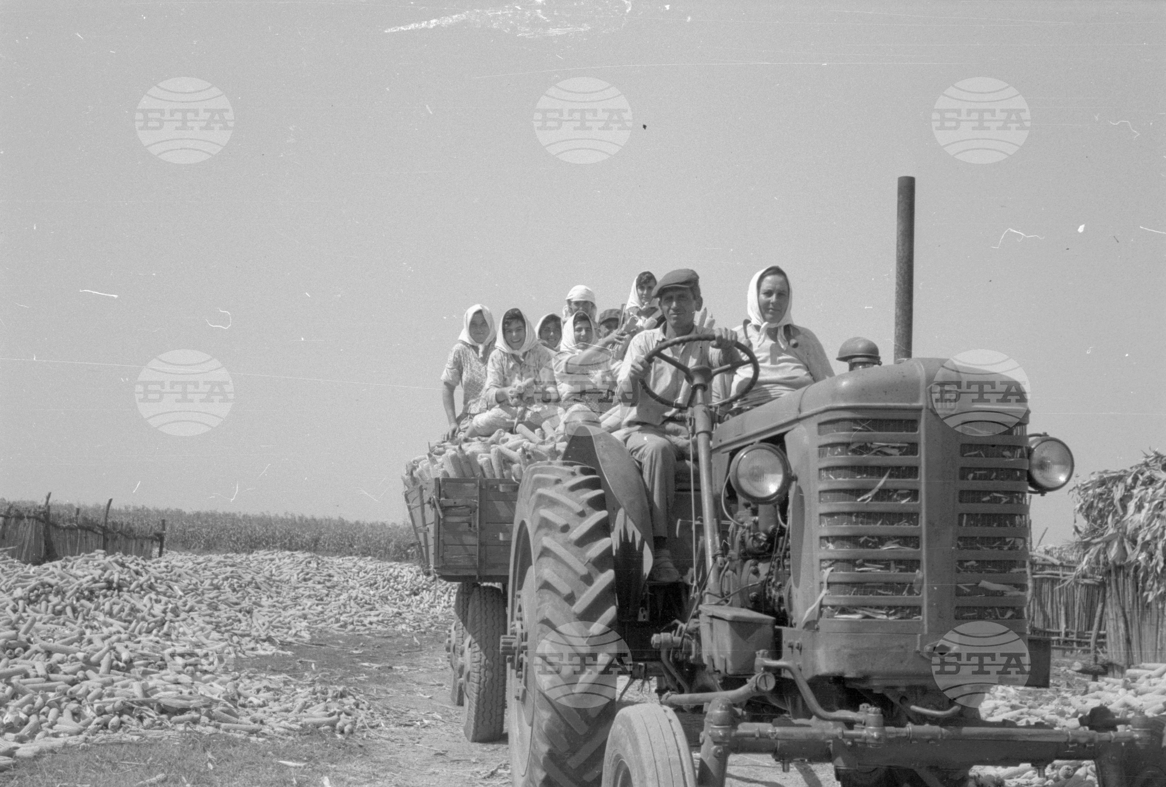 ТКЗС (Трудово кооперативно земеделско стопанство) във Видин - 1963