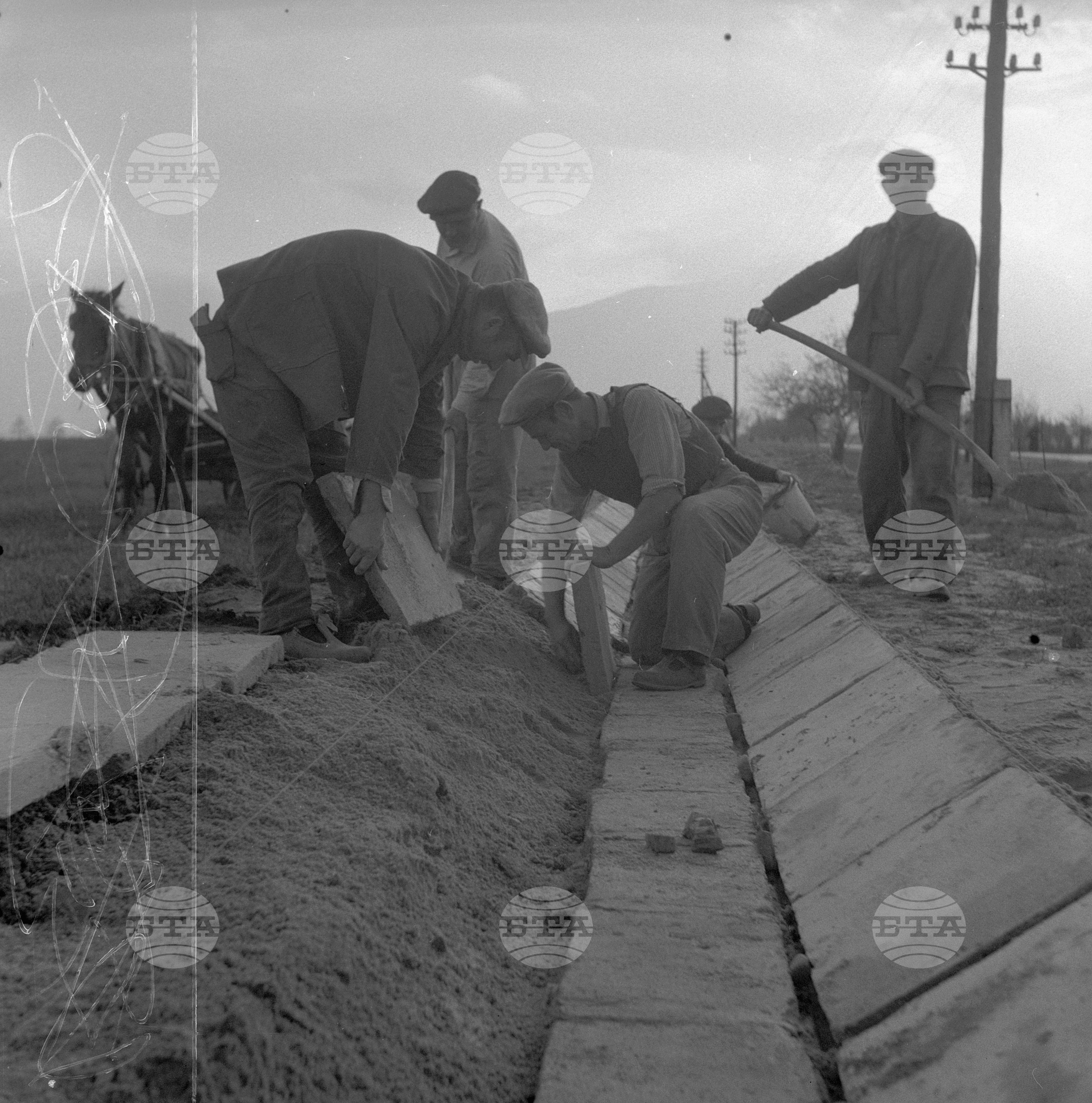 Из Пазарджишки окръг -ТКЗС село Звъничево