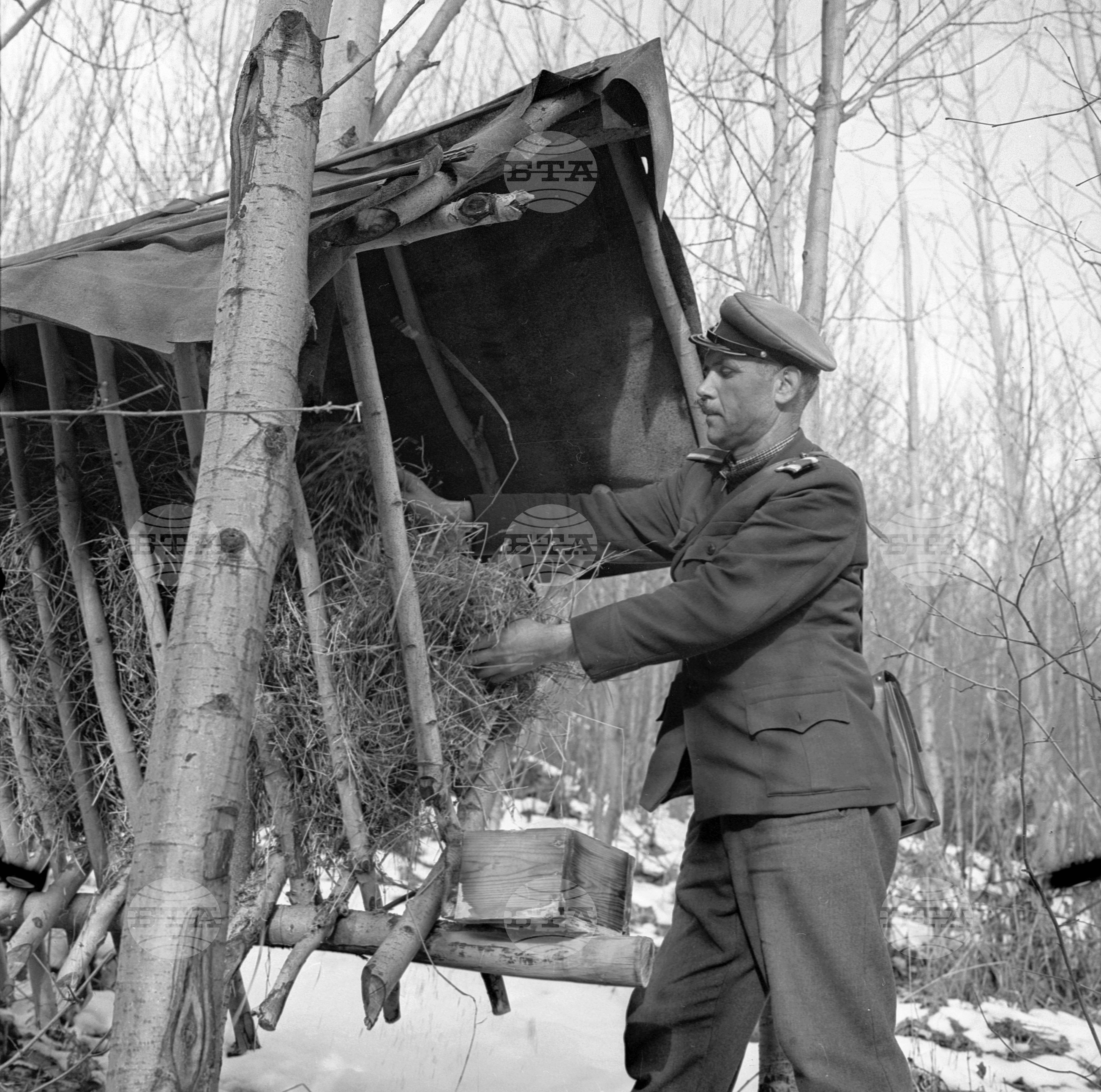 Горско стопанство в град Самоков - 1972 година