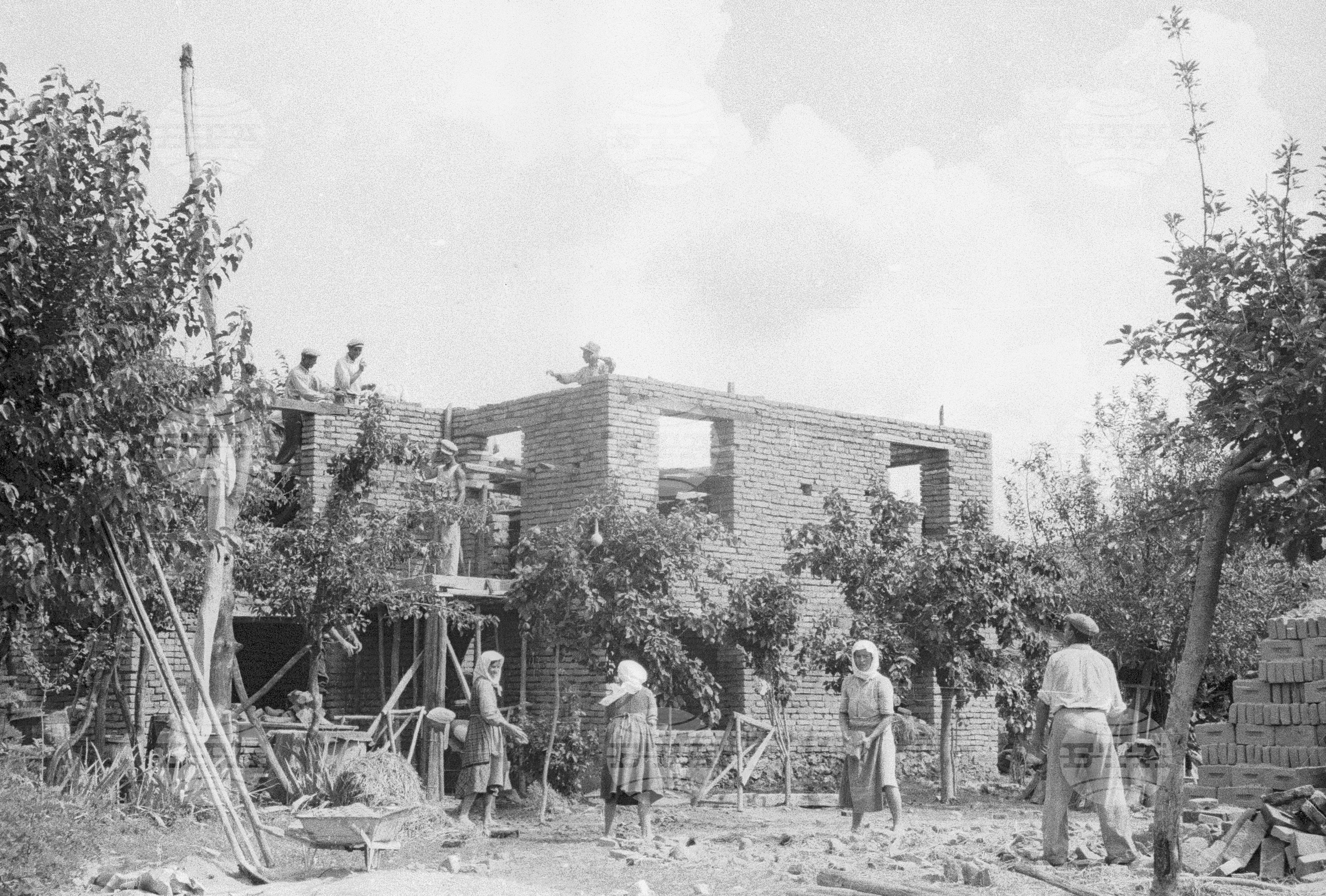Трудово кооперативно земеделско сдружение (ТКЗС) Сухозем, 1951