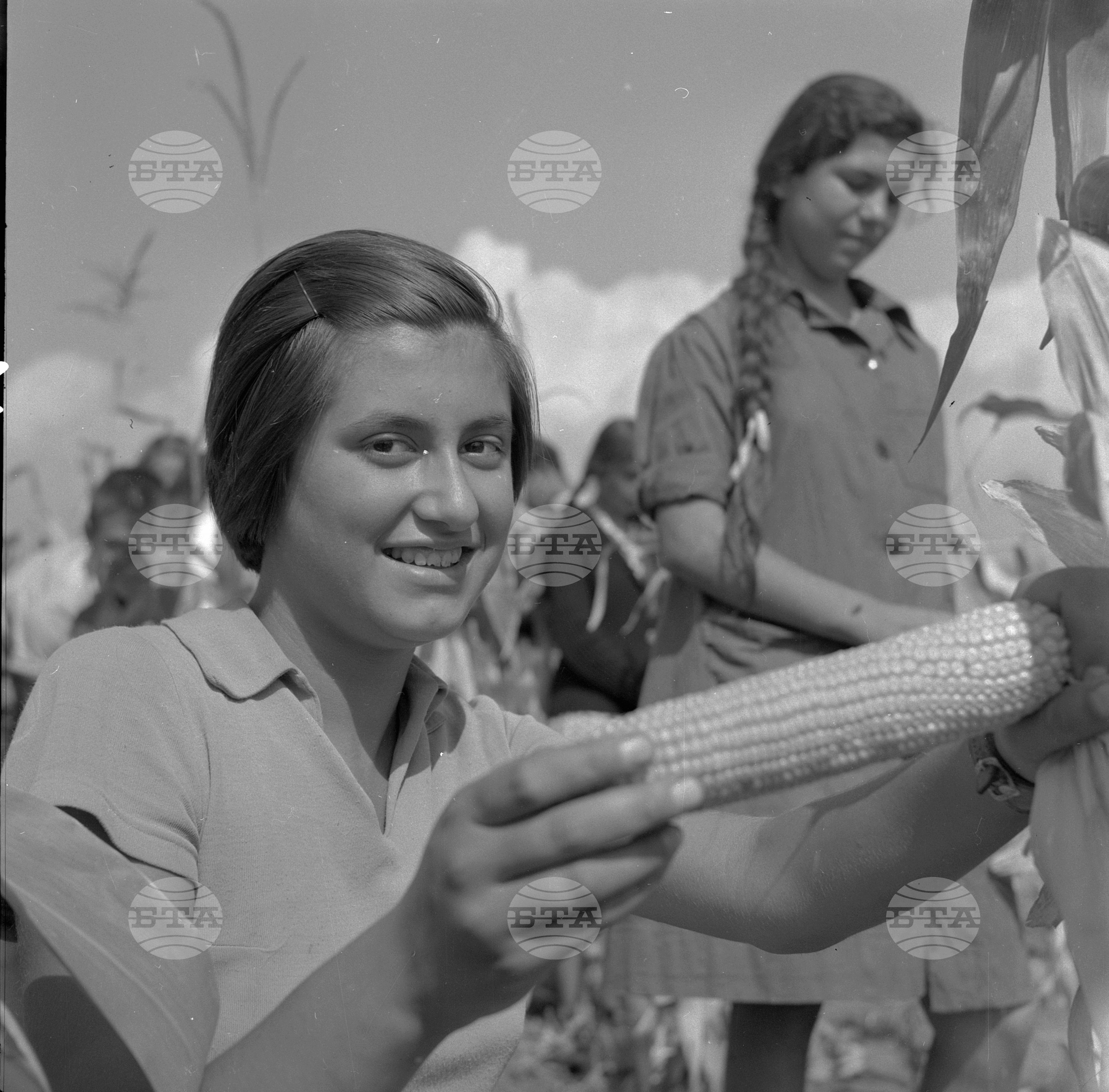На бригада 1962 година