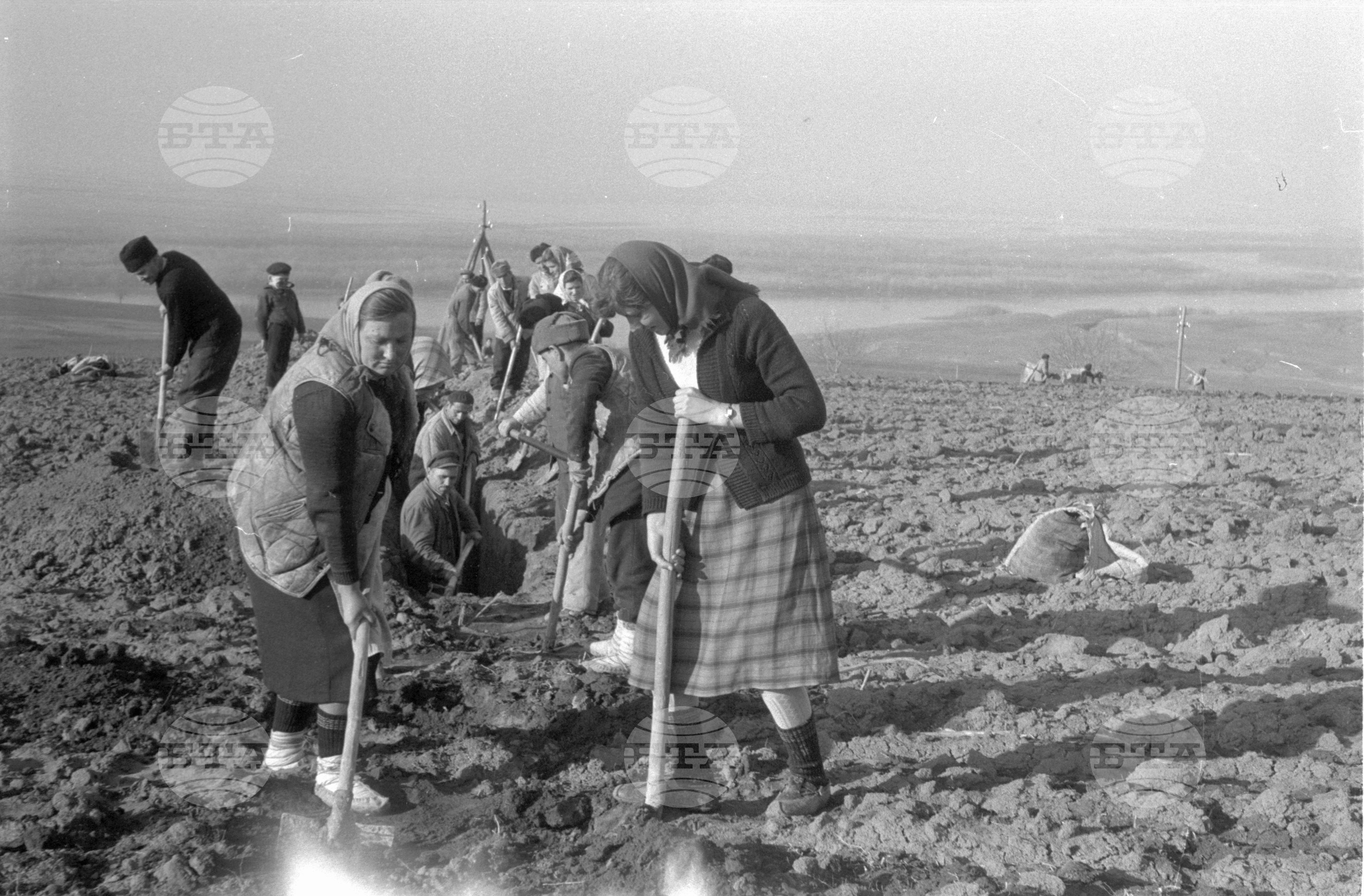 На строежа на напоителната система край село Пиргово, Русенски окръг