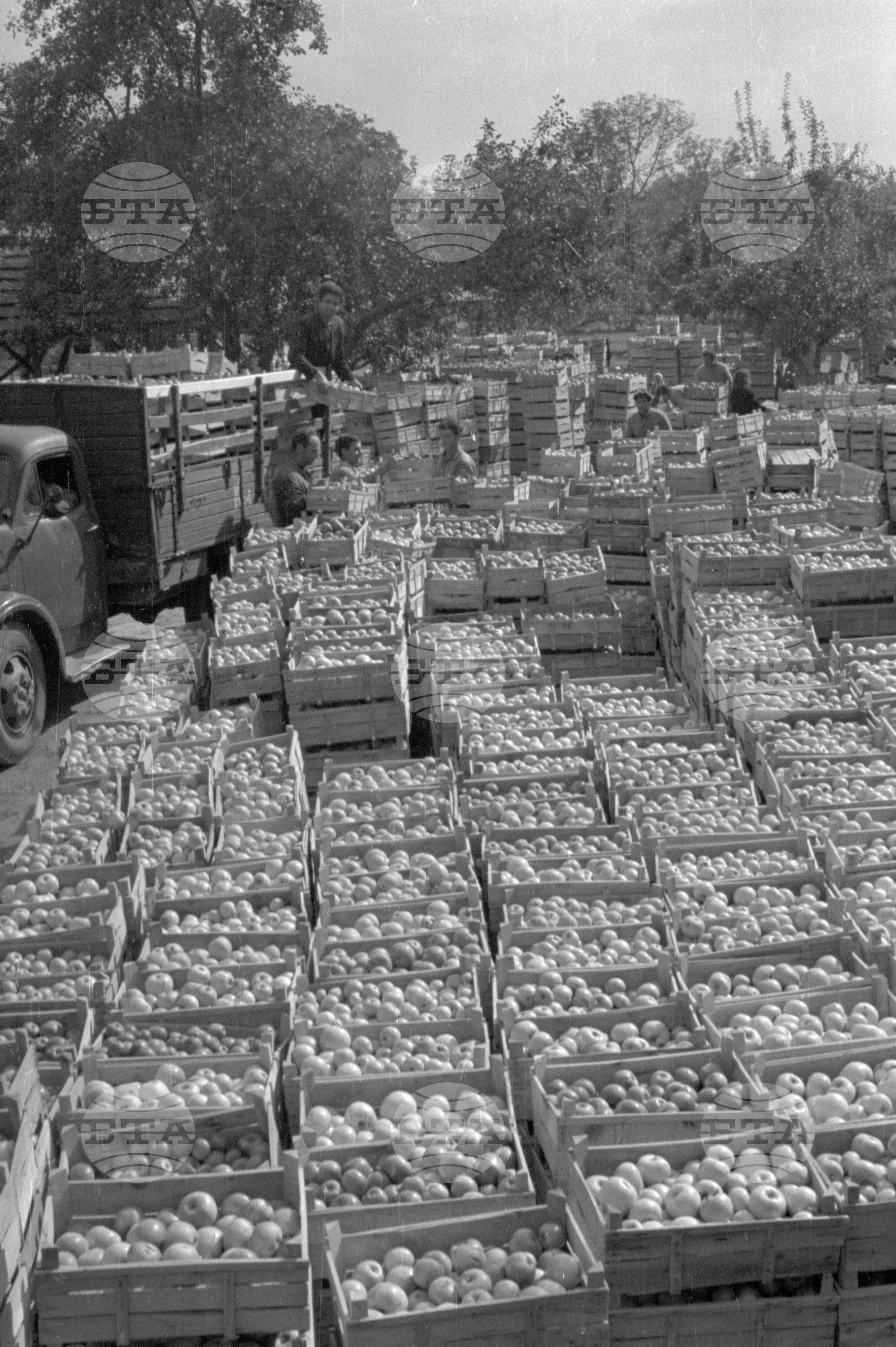 Из Кюстендилски окръг - септември 1962 година