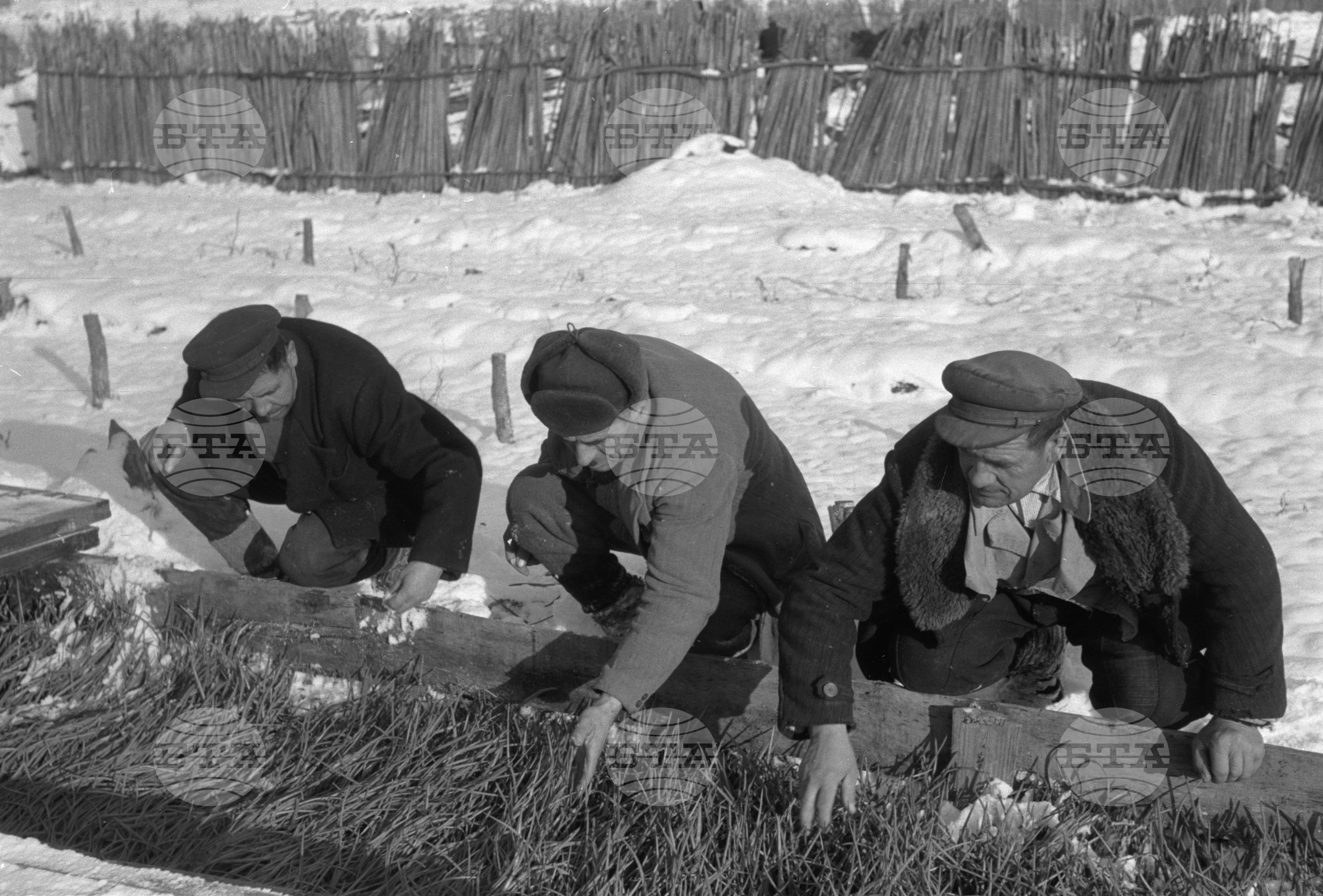 ТКЗС "Път към комунизъм" село Малък Поровец, Разградски окръг