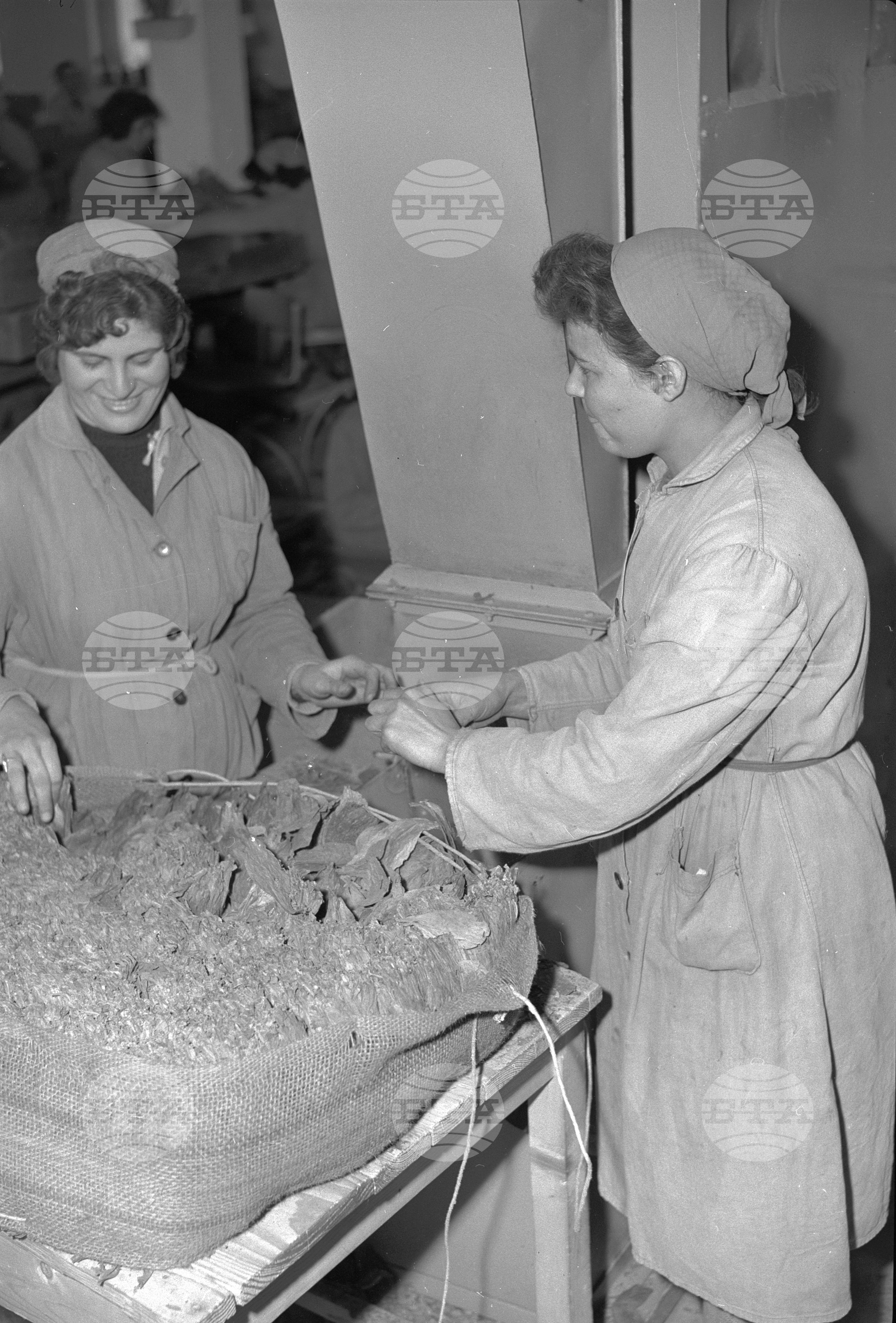 Тютюнева промишленост - Пазарджик
