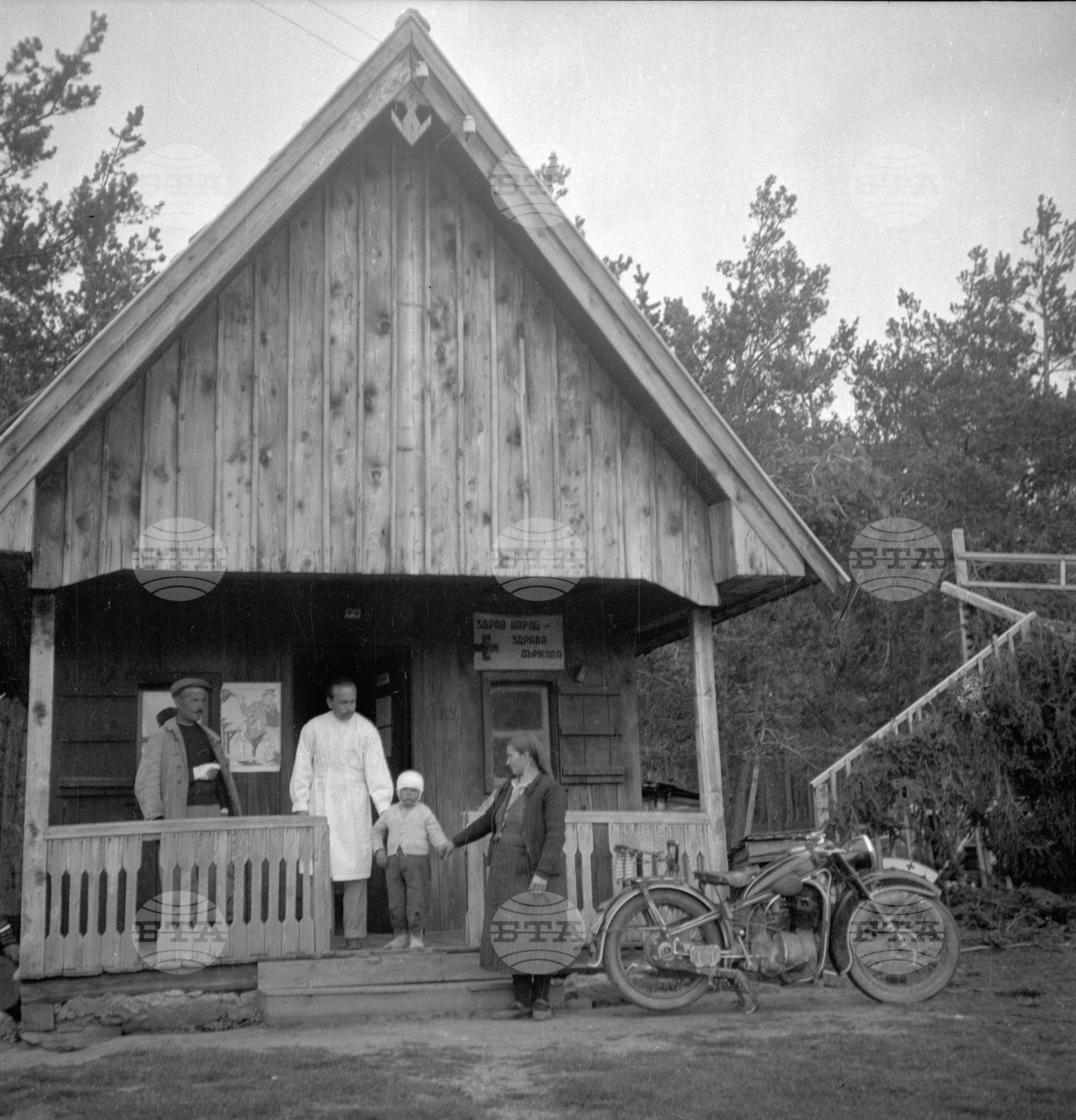Дърводобив в държавни горски стопанства, 1951 - част 8