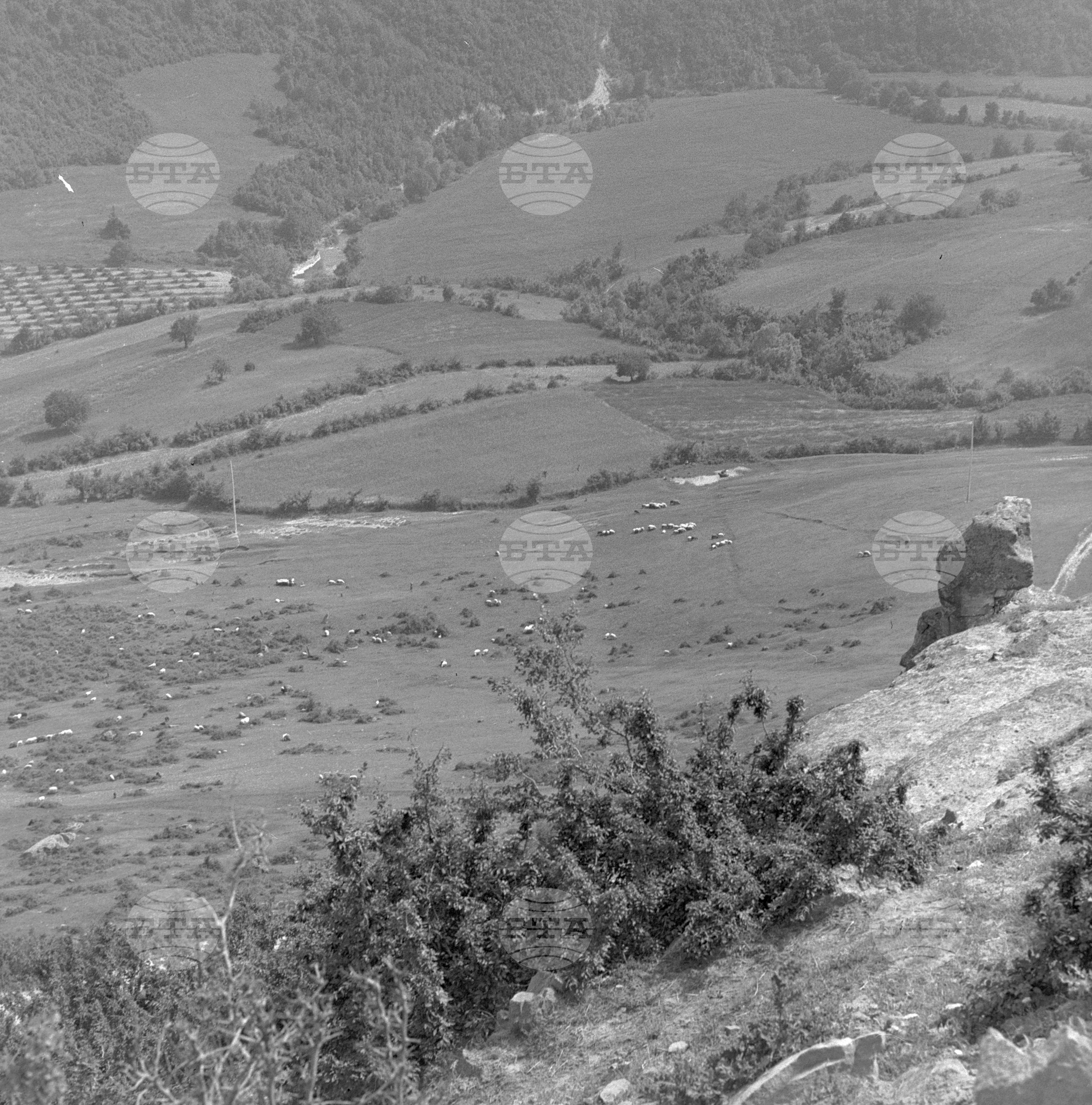 Панорама към село Соколарци