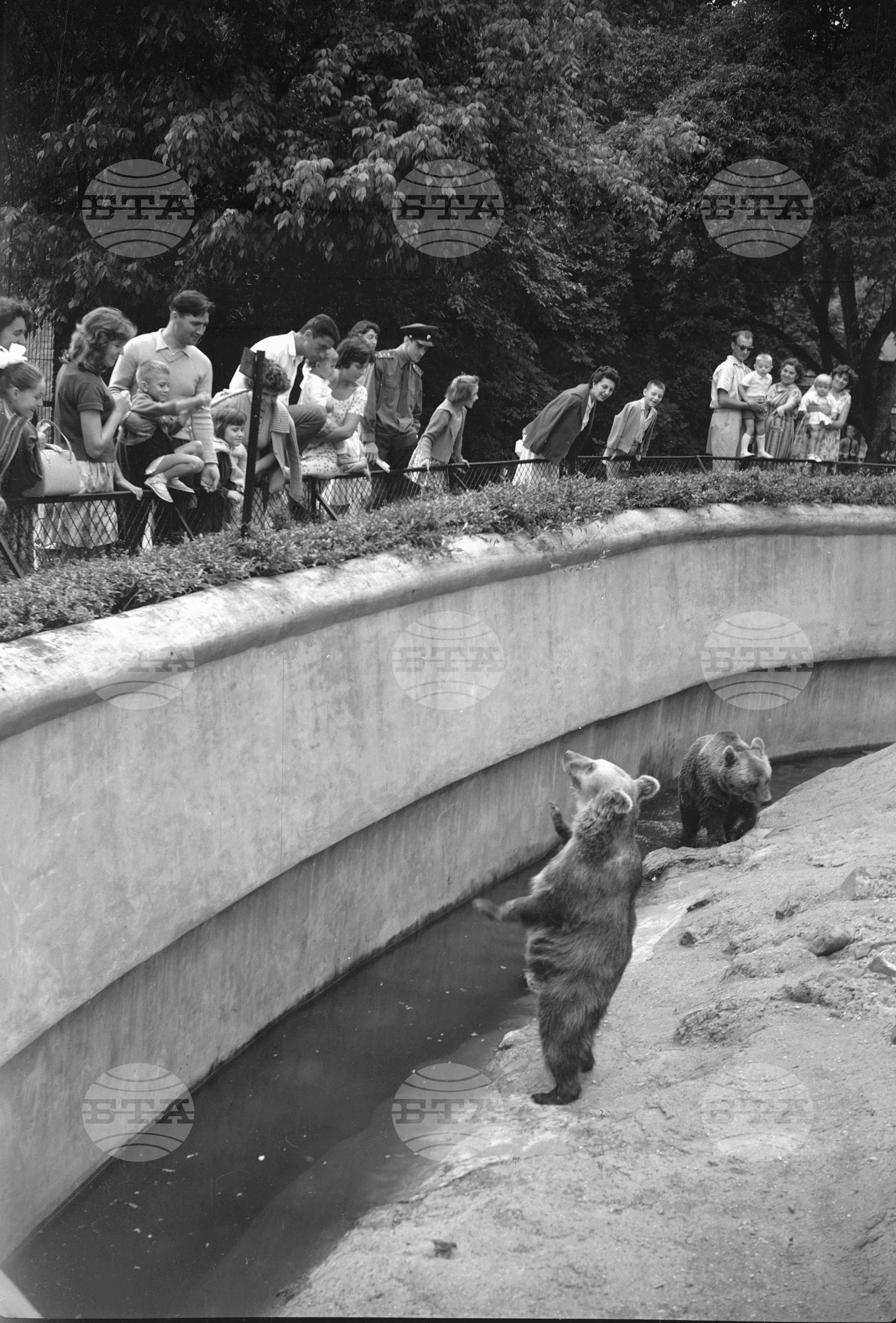 Зоологическа градина София - 1962 година