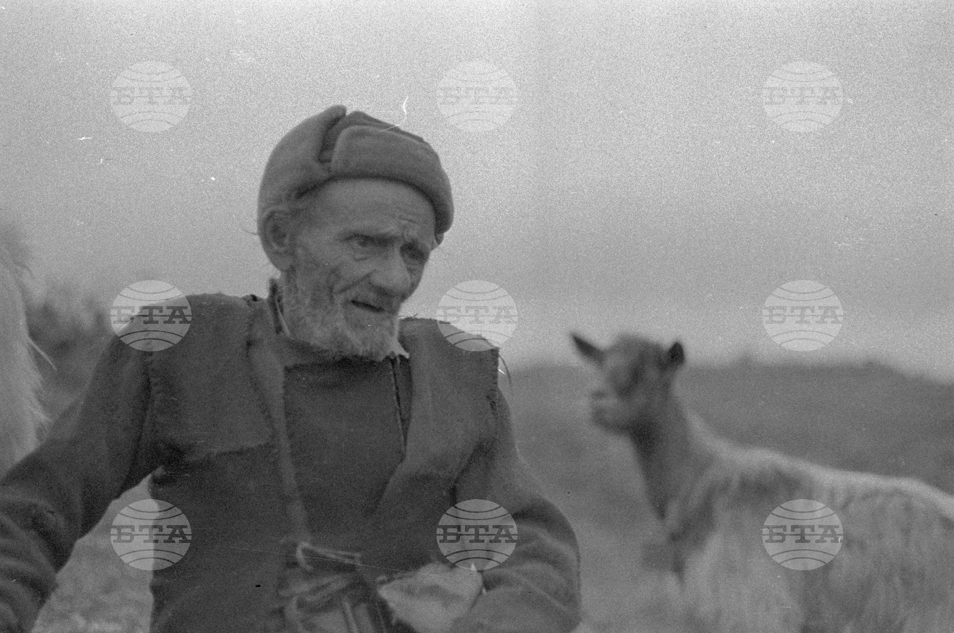 Огражден планина