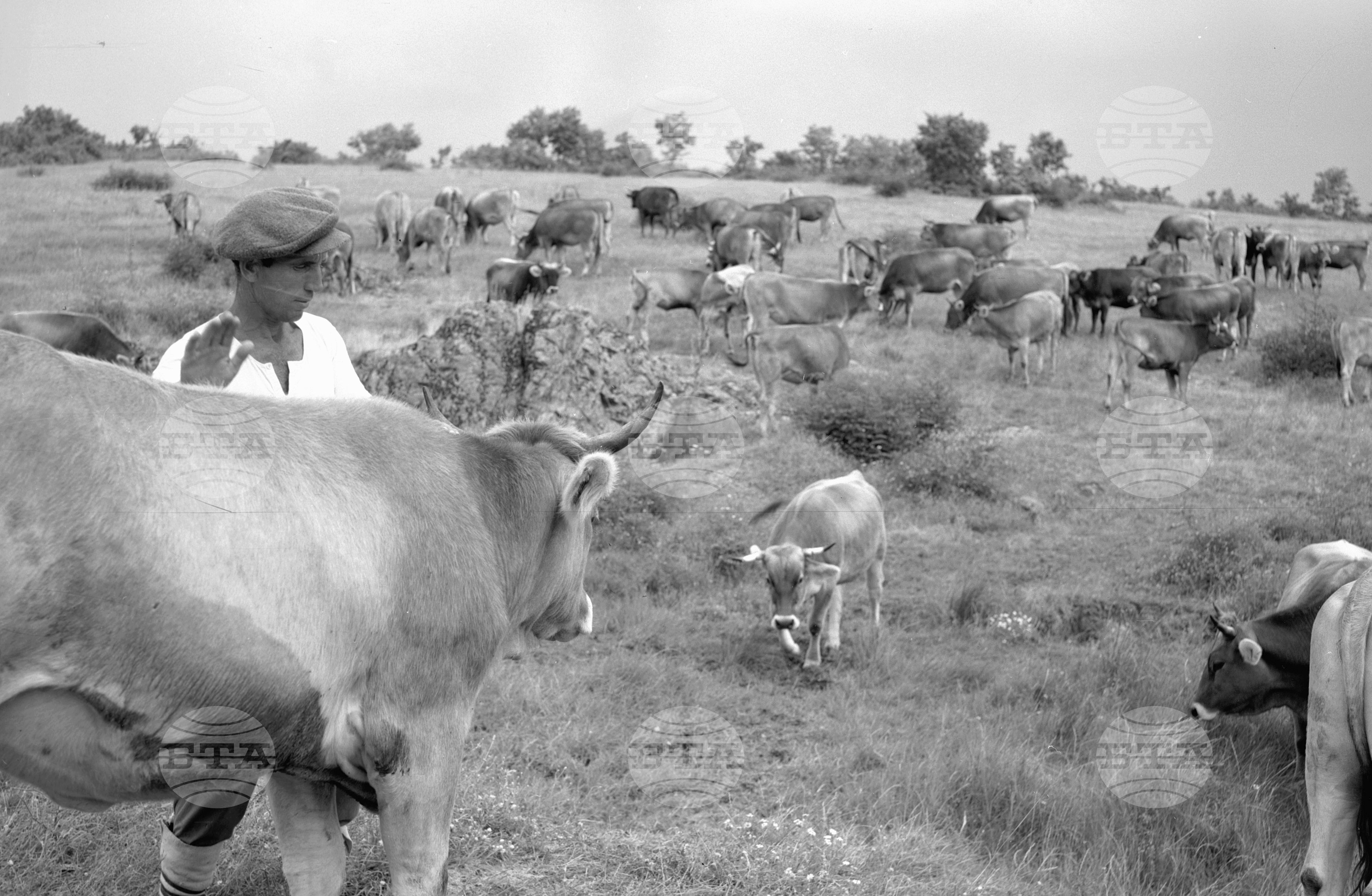 ТКЗС в село Узунджово, Хасковски окръг - 1963