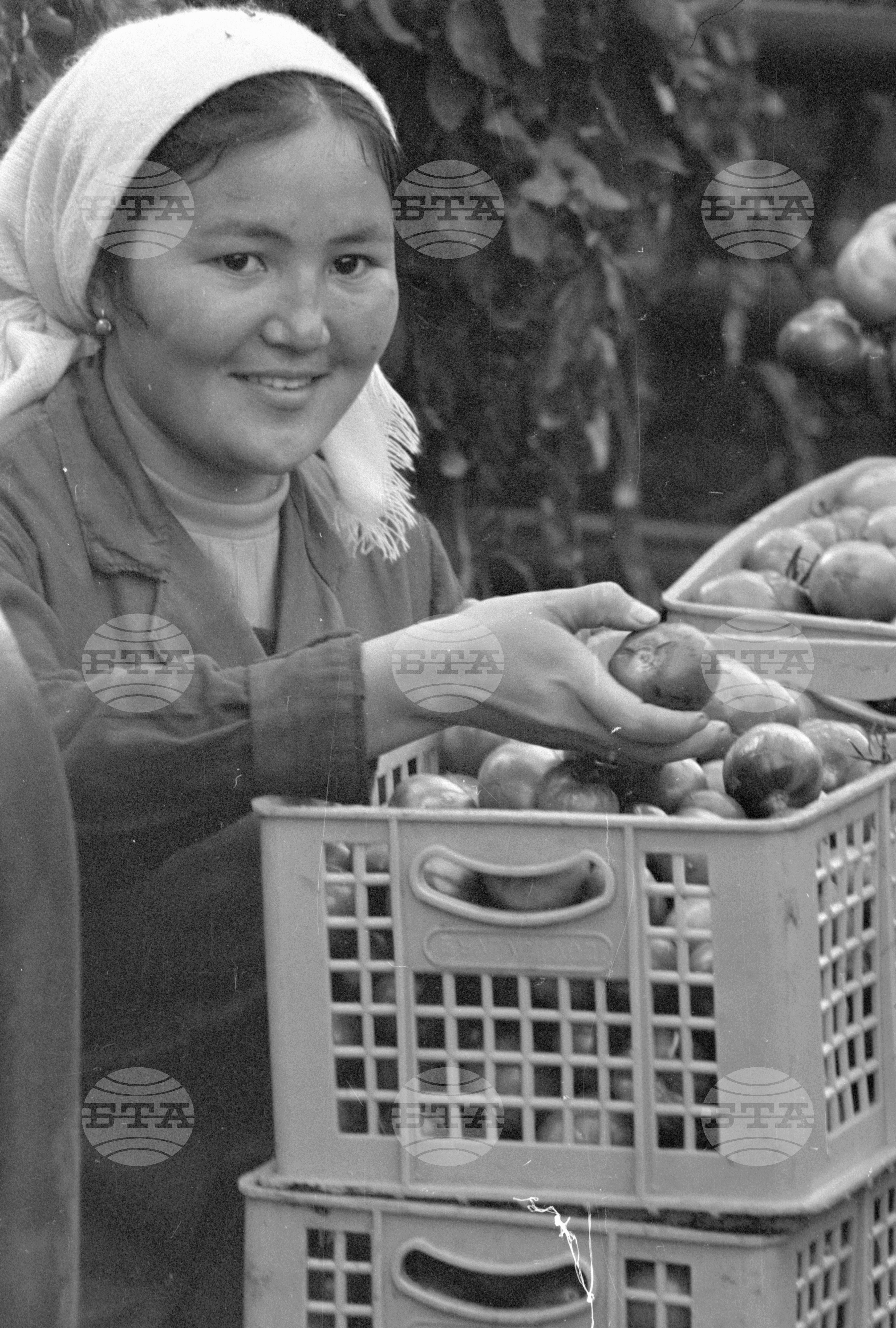 Разходка в Монголия