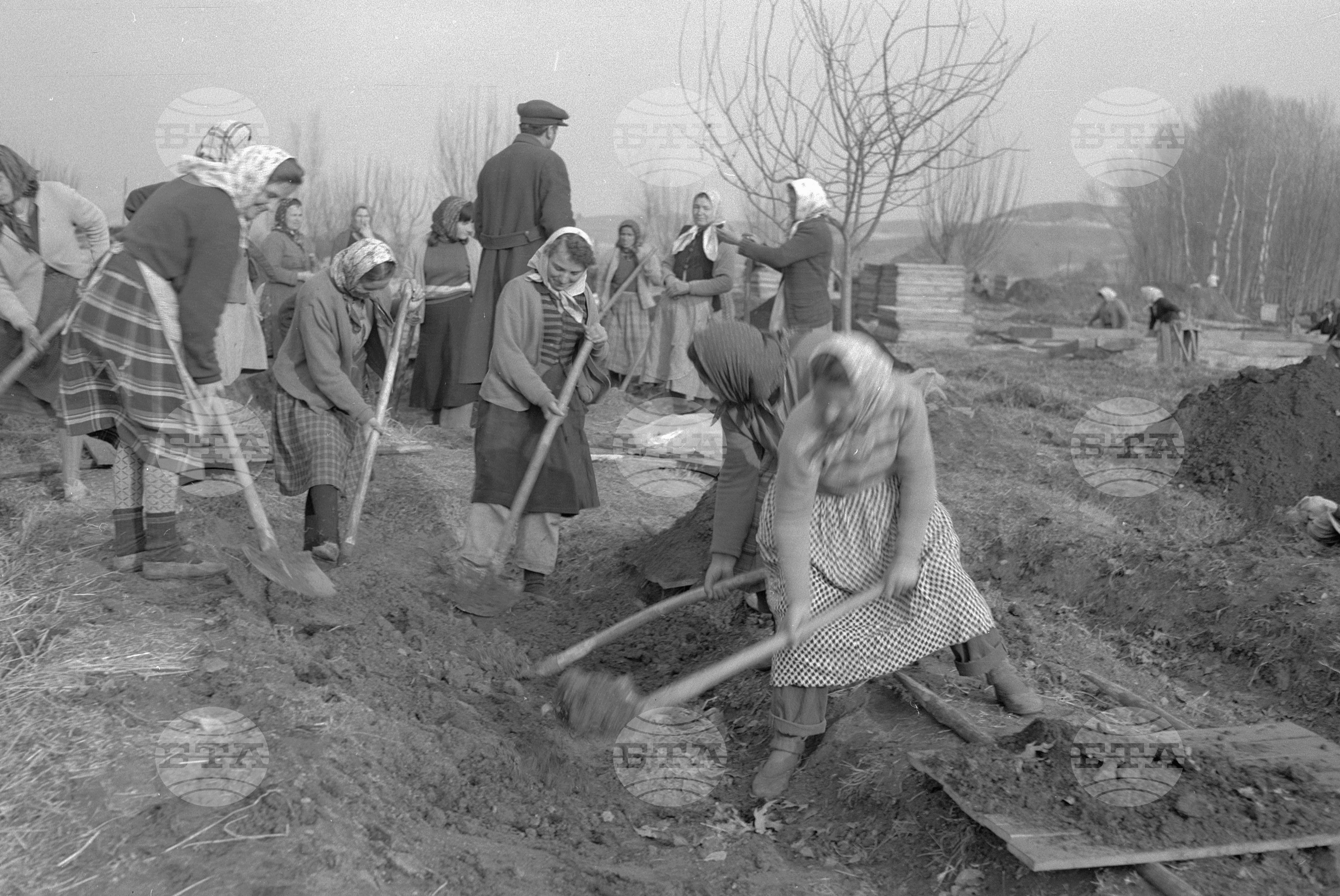 ТКЗС (Трудово-кооперативно земеделско стопанство) "7 конгрес" село Делчево, Благоевградски окръг